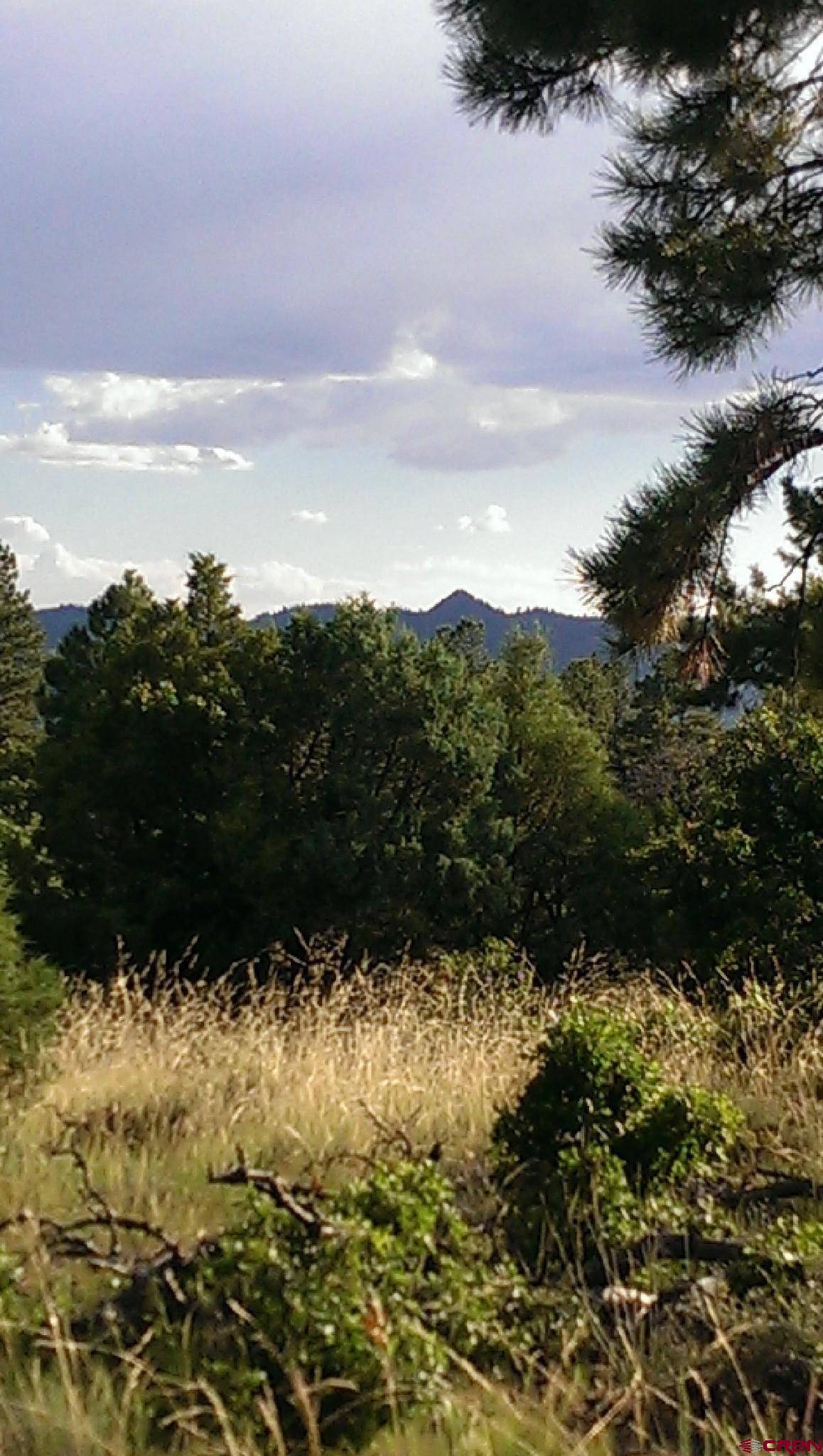 Pagosa Springs, CO 81147,43 Butzke Court