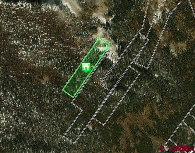 White Pine, CO 81248,TBD White Pine Upper Tomichi