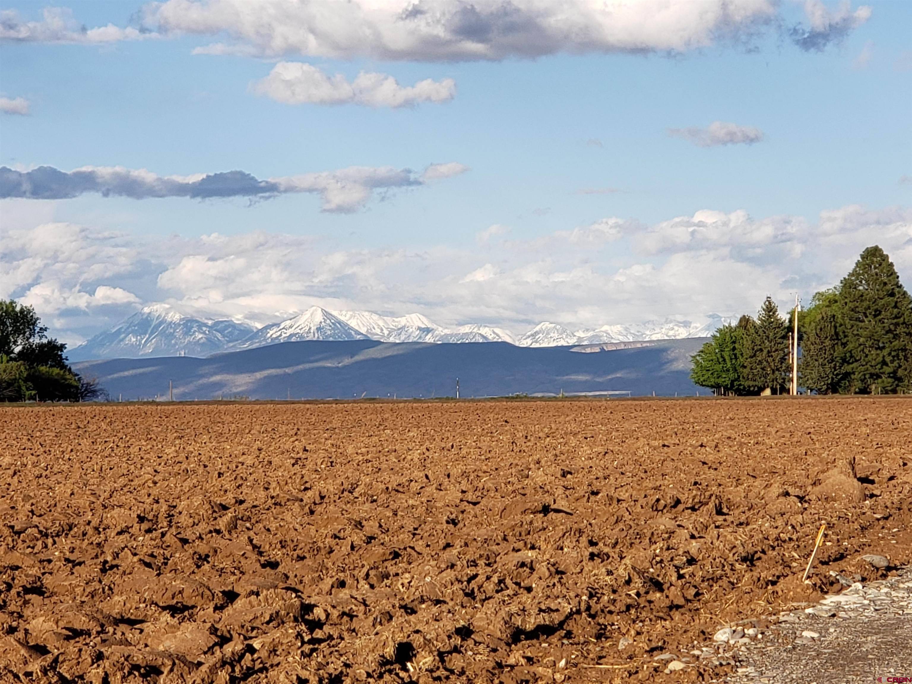 Delta, CO 81416,TBD Cedar Road