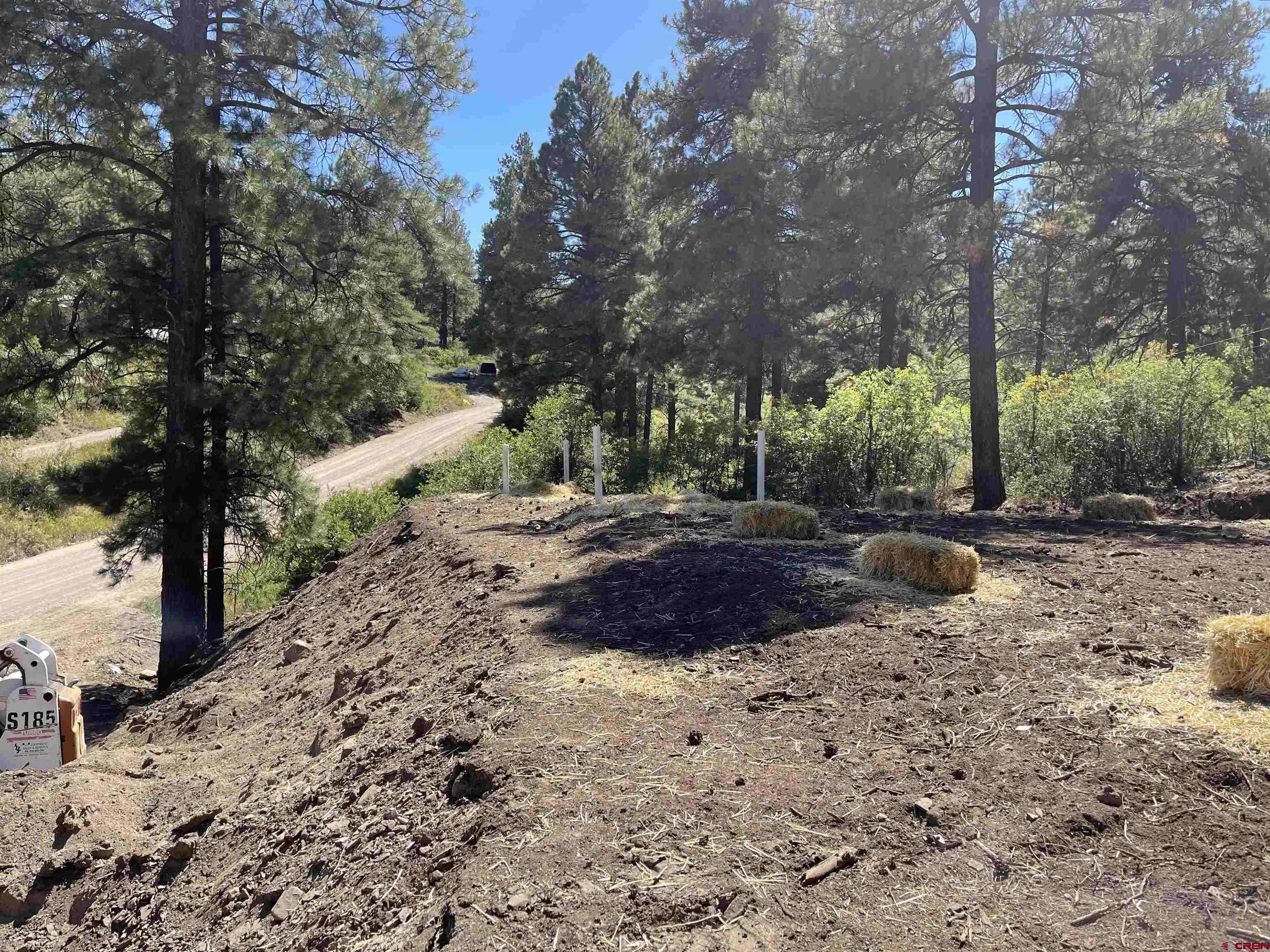 Pagosa Springs, CO 81147,141 Hollow Drive