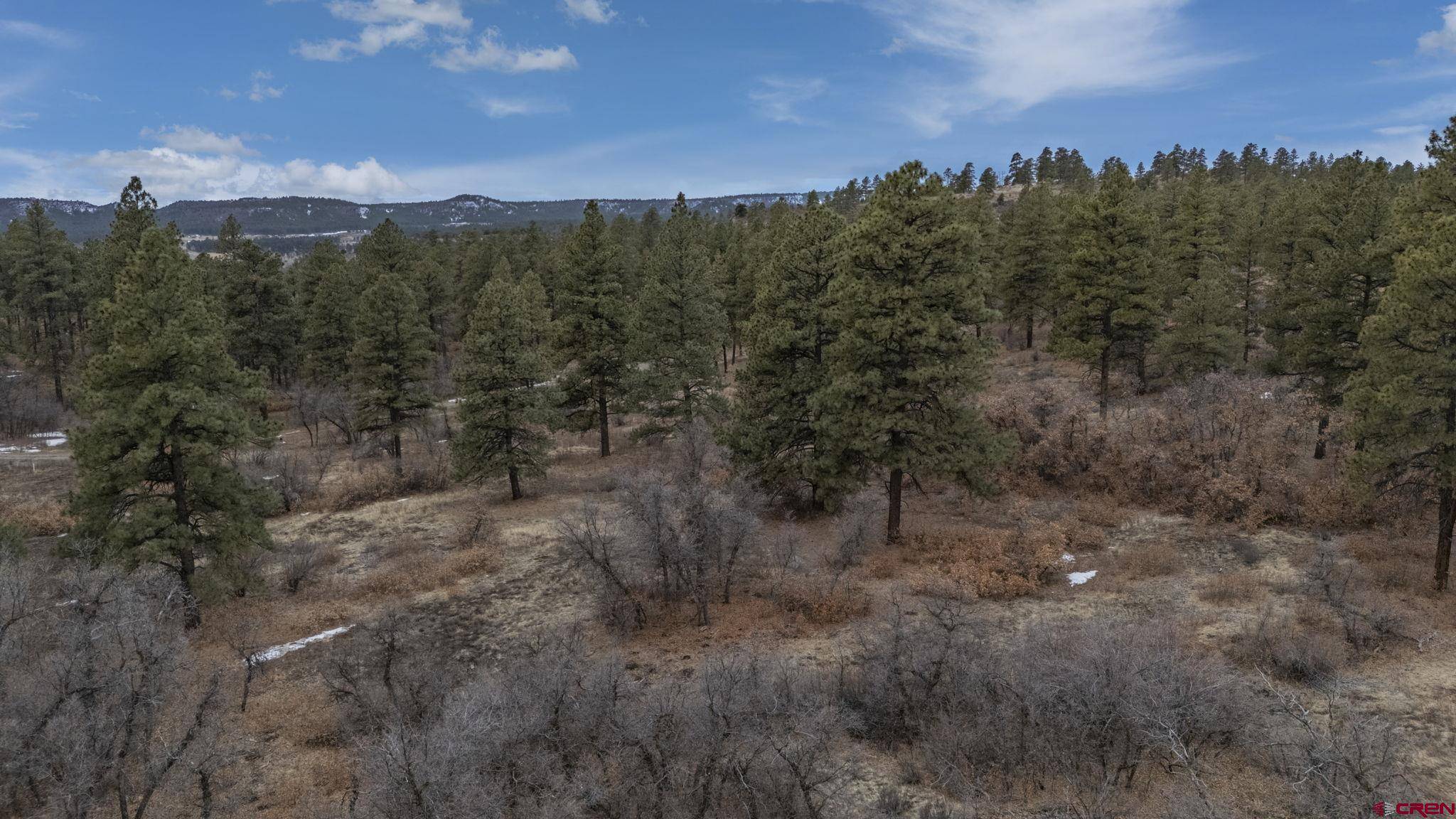 Bayfield, CO 81122,TBD Lot 8 Beaver Creek Ranch Drive