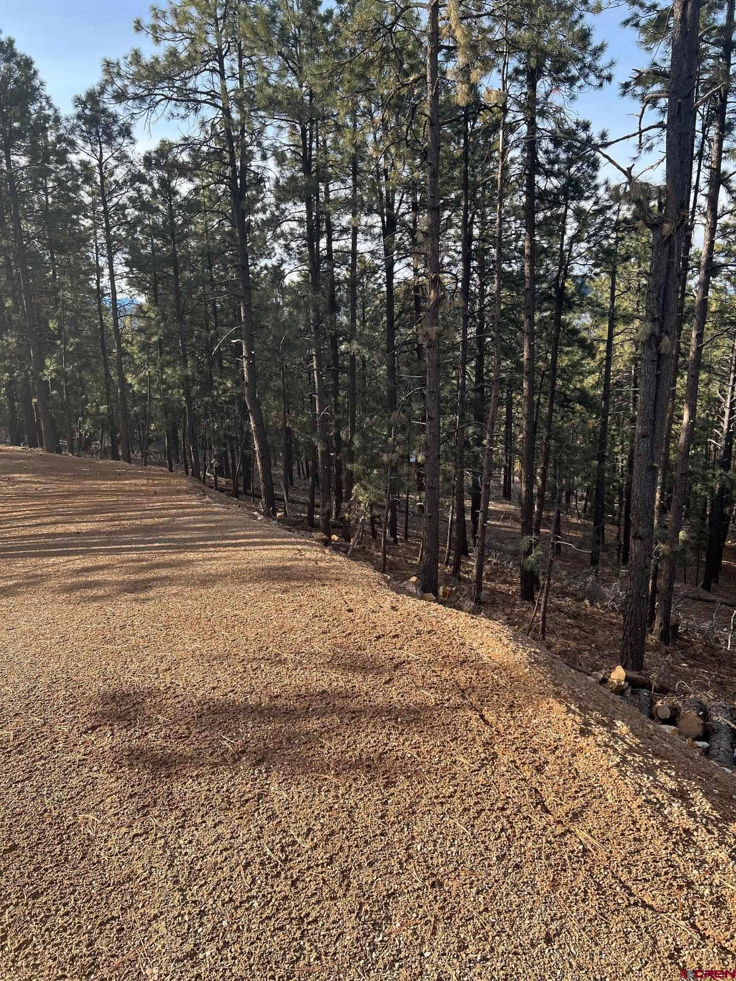 Bayfield, CO 81122,259 Hillside Circle