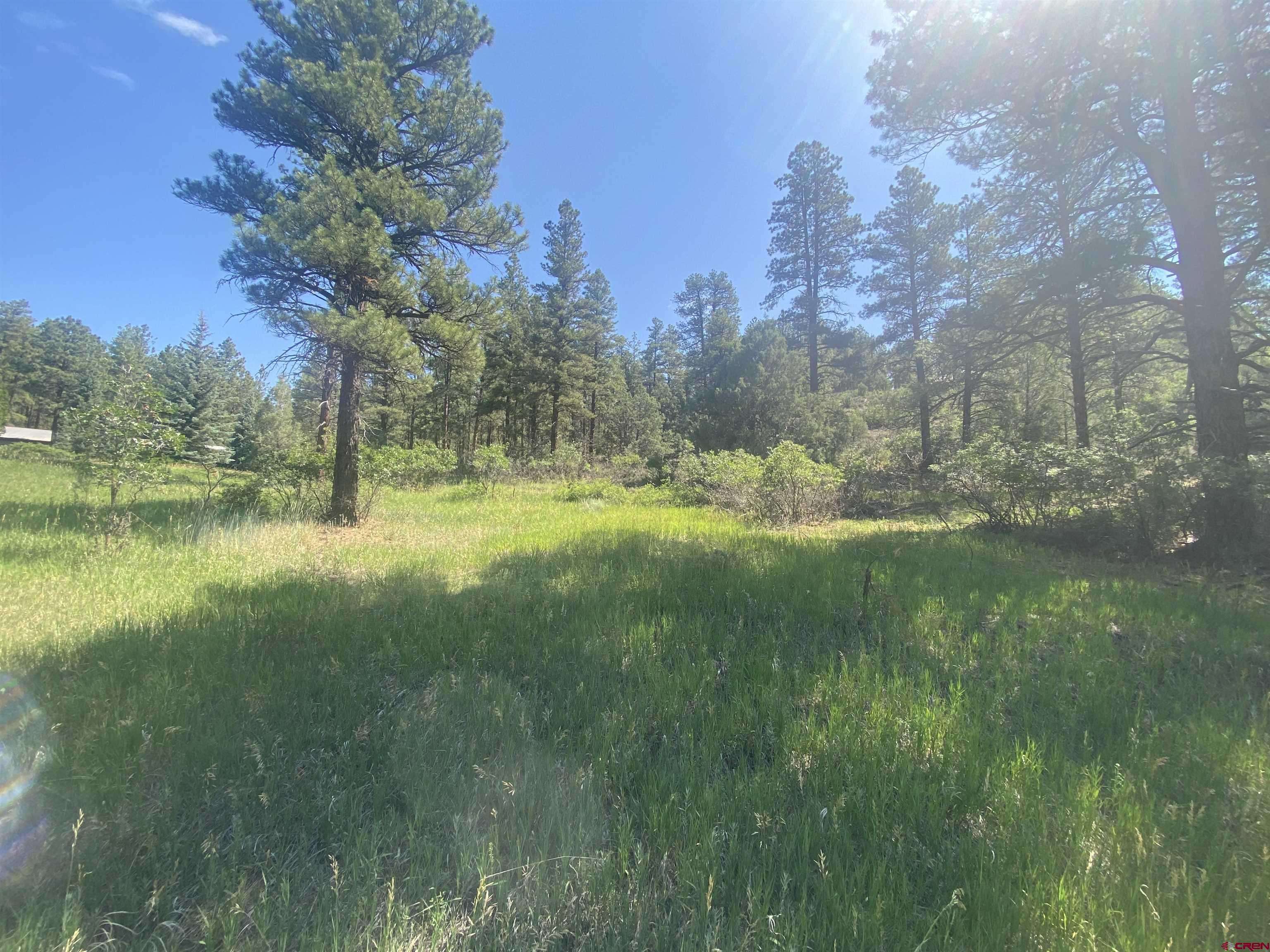 Pagosa Springs, CO 81147,462 Circle Drive