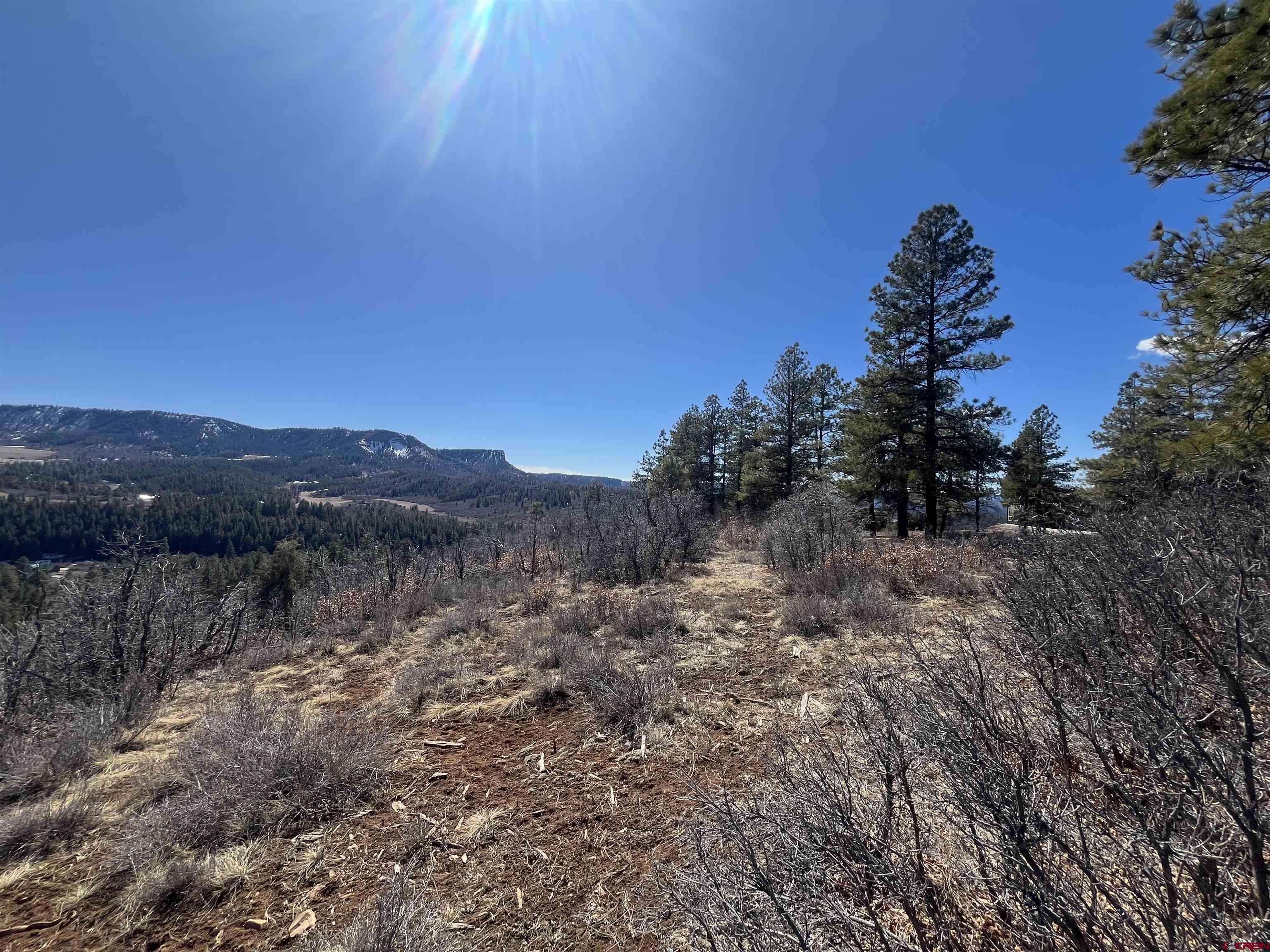 Pagosa Springs, CO 81147,174 Caraway Court