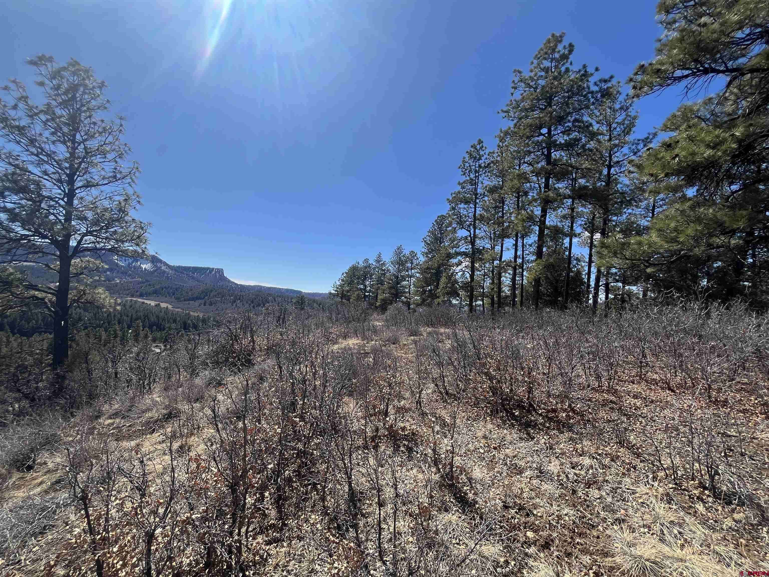 Pagosa Springs, CO 81147,174 Caraway Court
