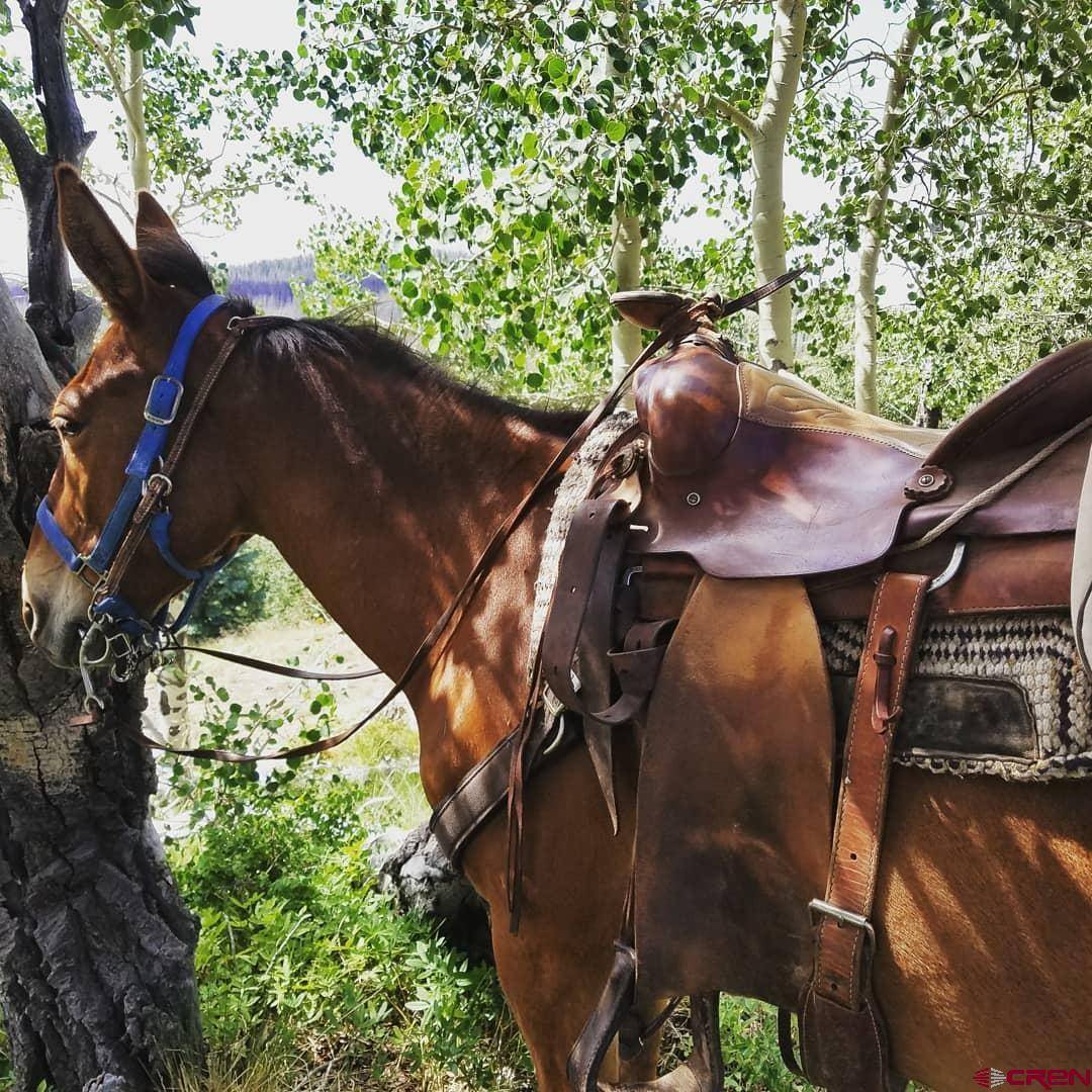 Pagosa Springs, CO 81147,Majestic Outfitters
