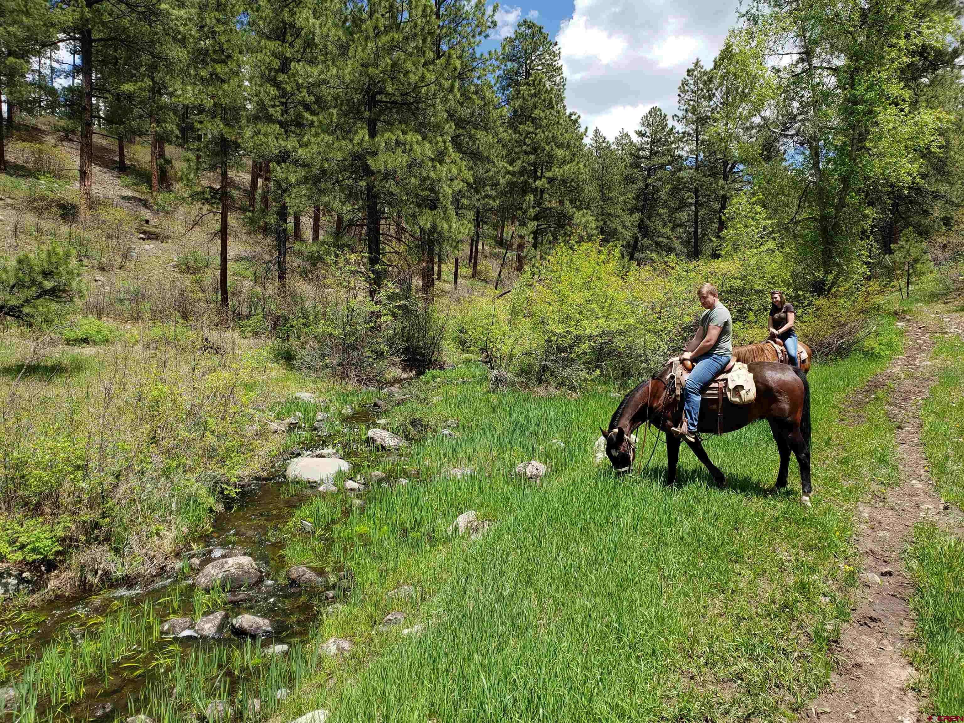 Pagosa Springs, CO 81147,Majestic Outfitters