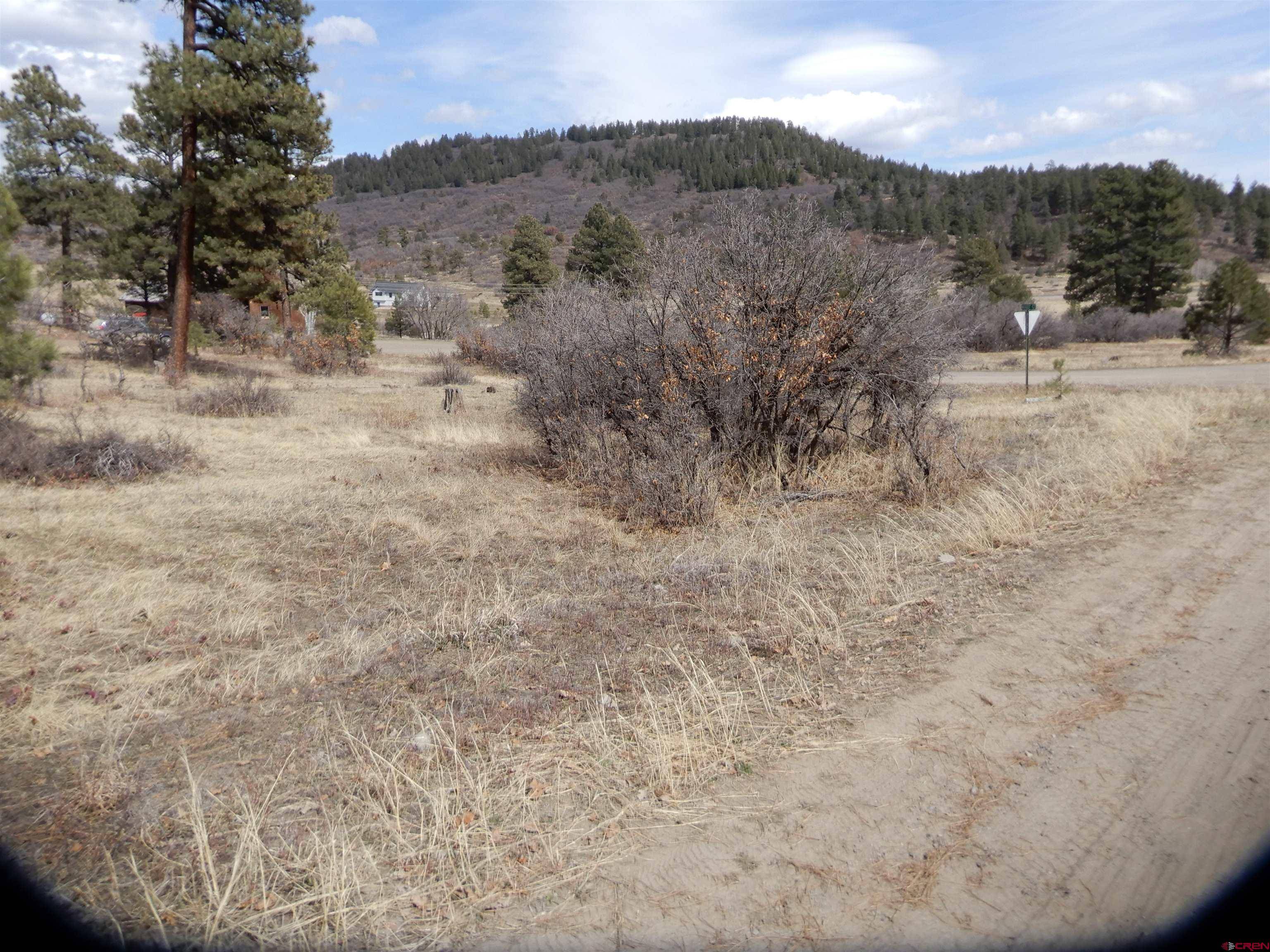 Pagosa Springs, CO 81147,26 Nugget Court