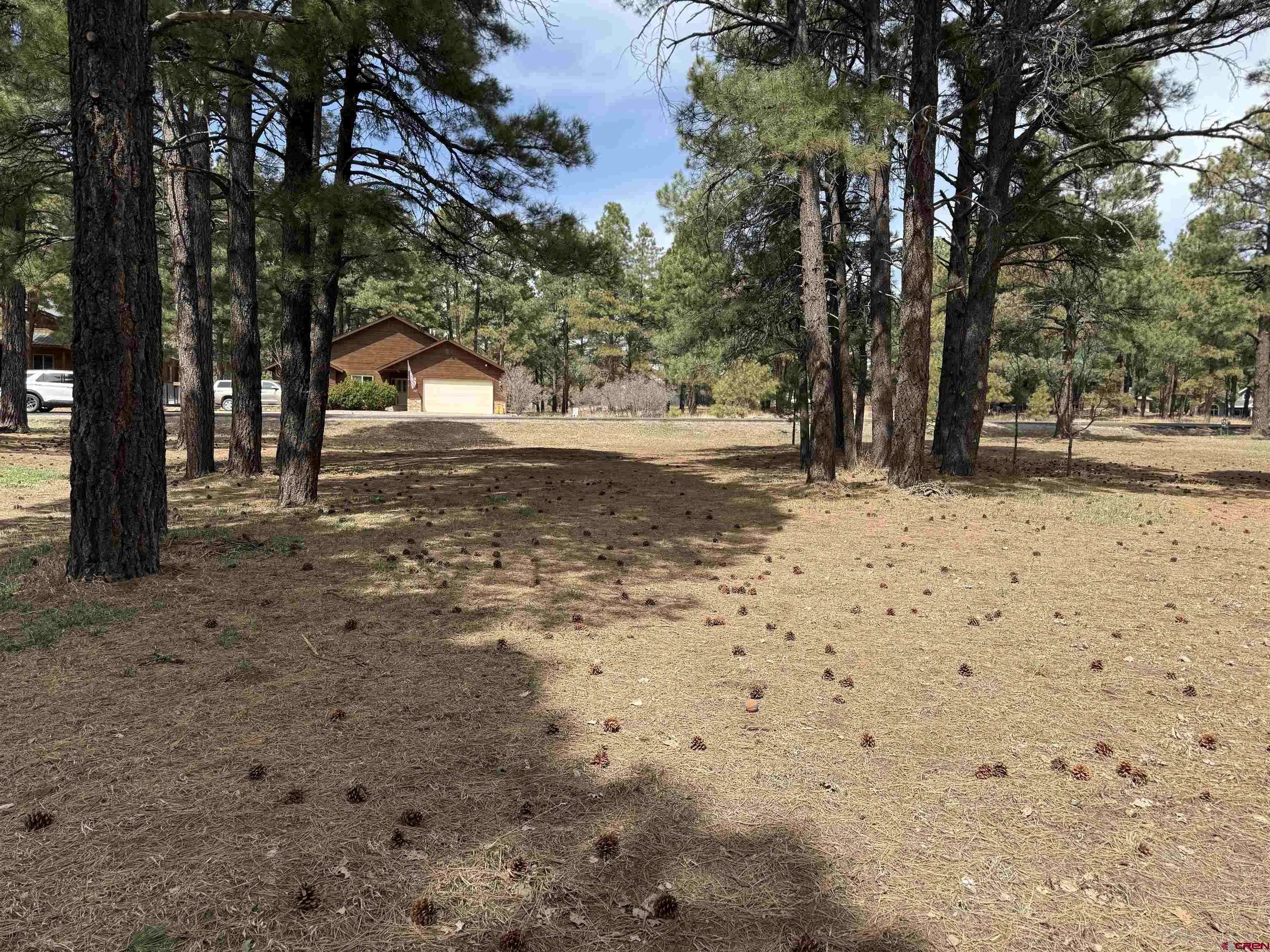 Pagosa Springs, CO 81147,227 Oakwood Circle