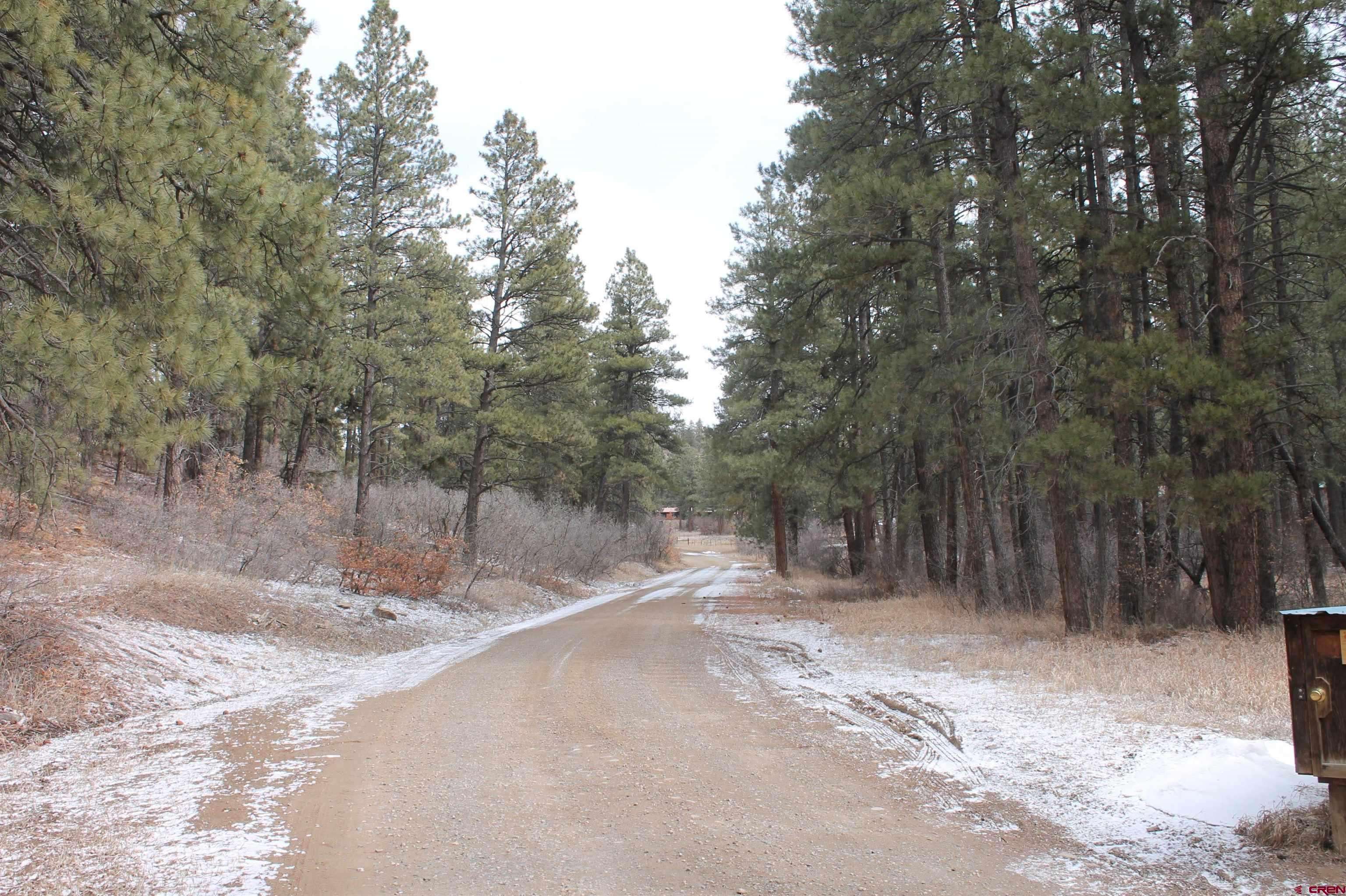 Bayfield, CO 81122,31861 E Highway 160