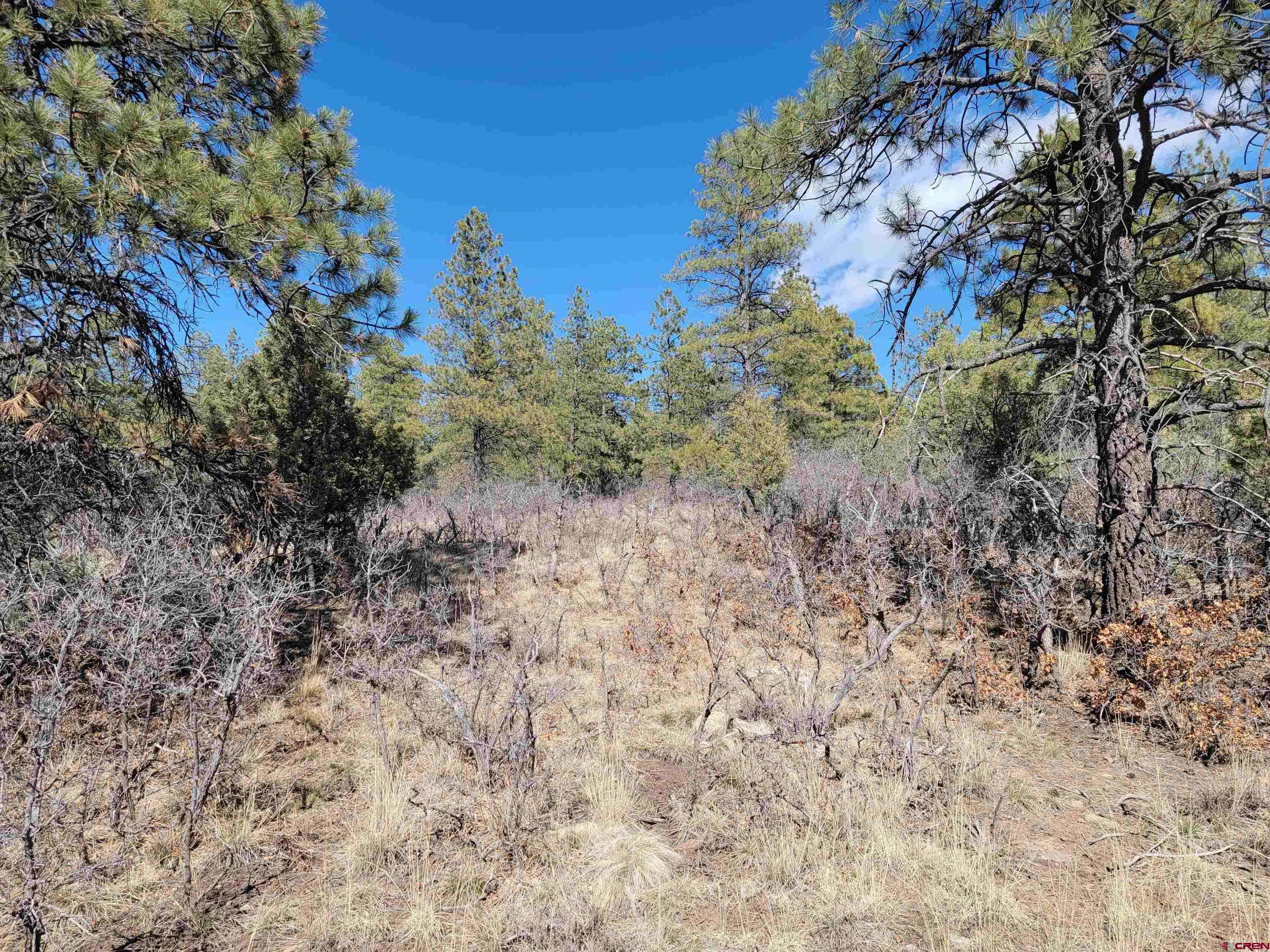 Pagosa Springs, CO 81147,145 Rock Point Place