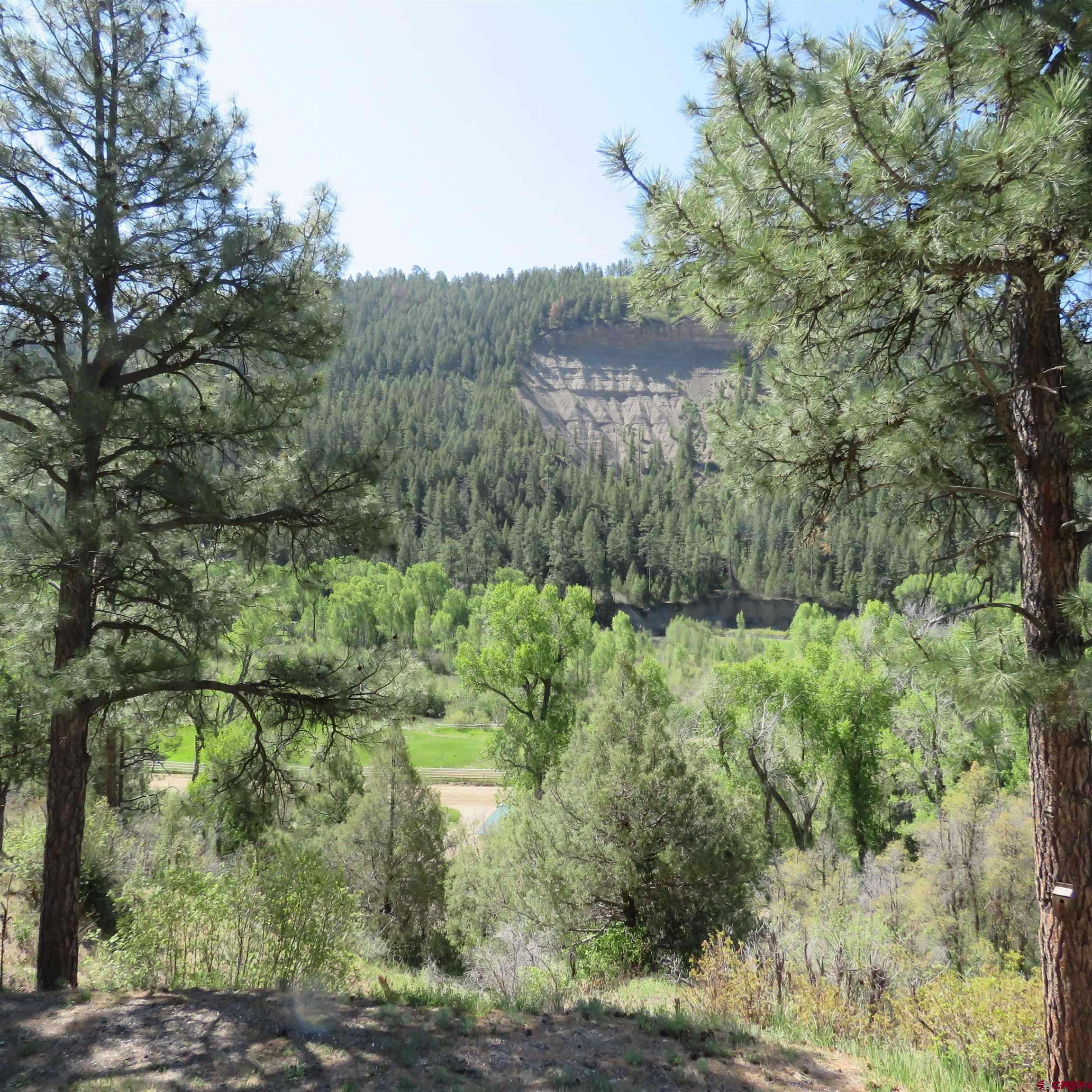 Pagosa Springs, CO 81147,3435 County Rd 335