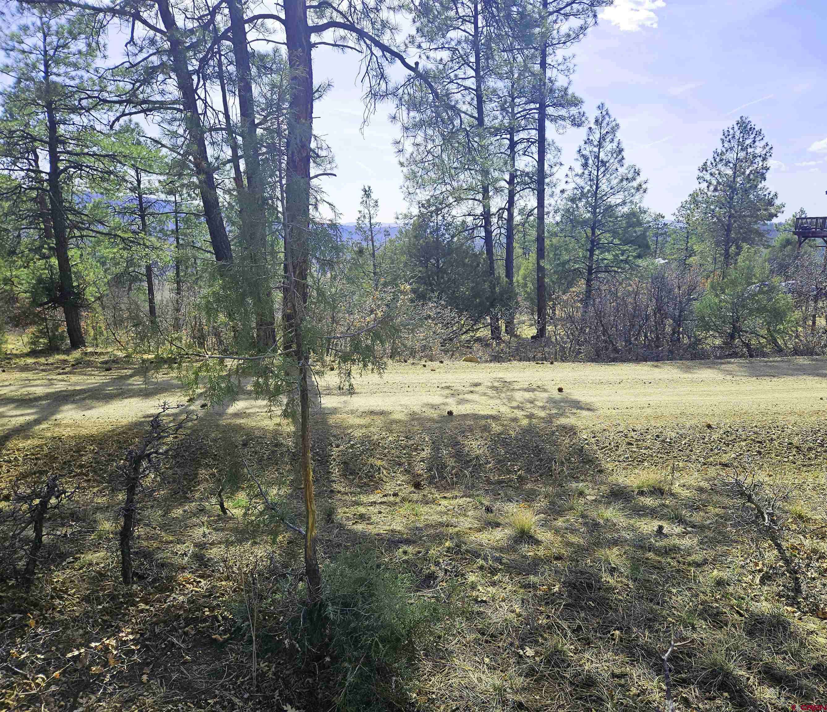 Pagosa Springs, CO 81147,220 Rock Point Place