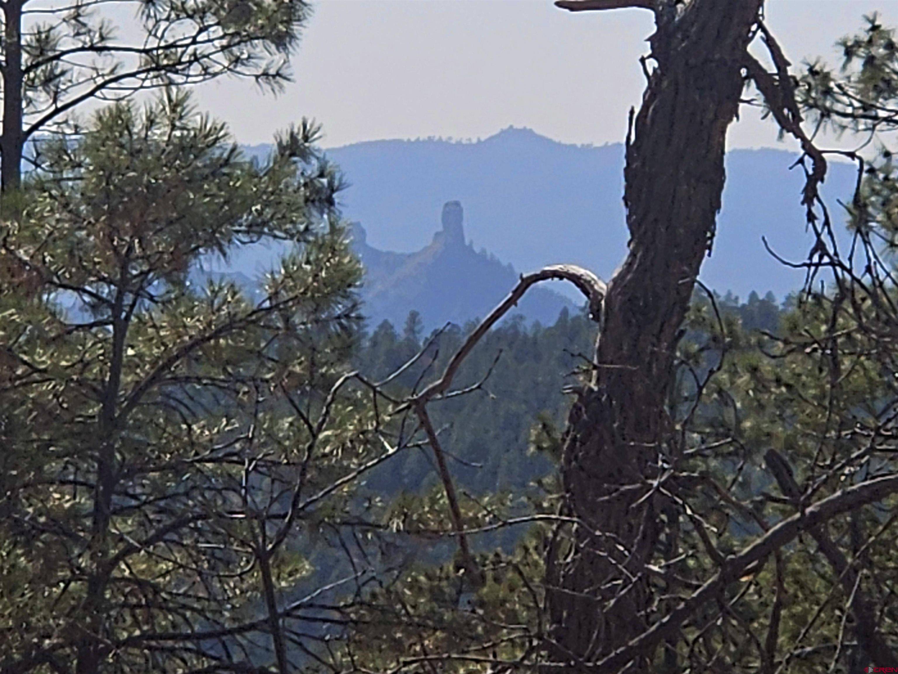 Pagosa Springs, CO 81147,248 Rock Point Place