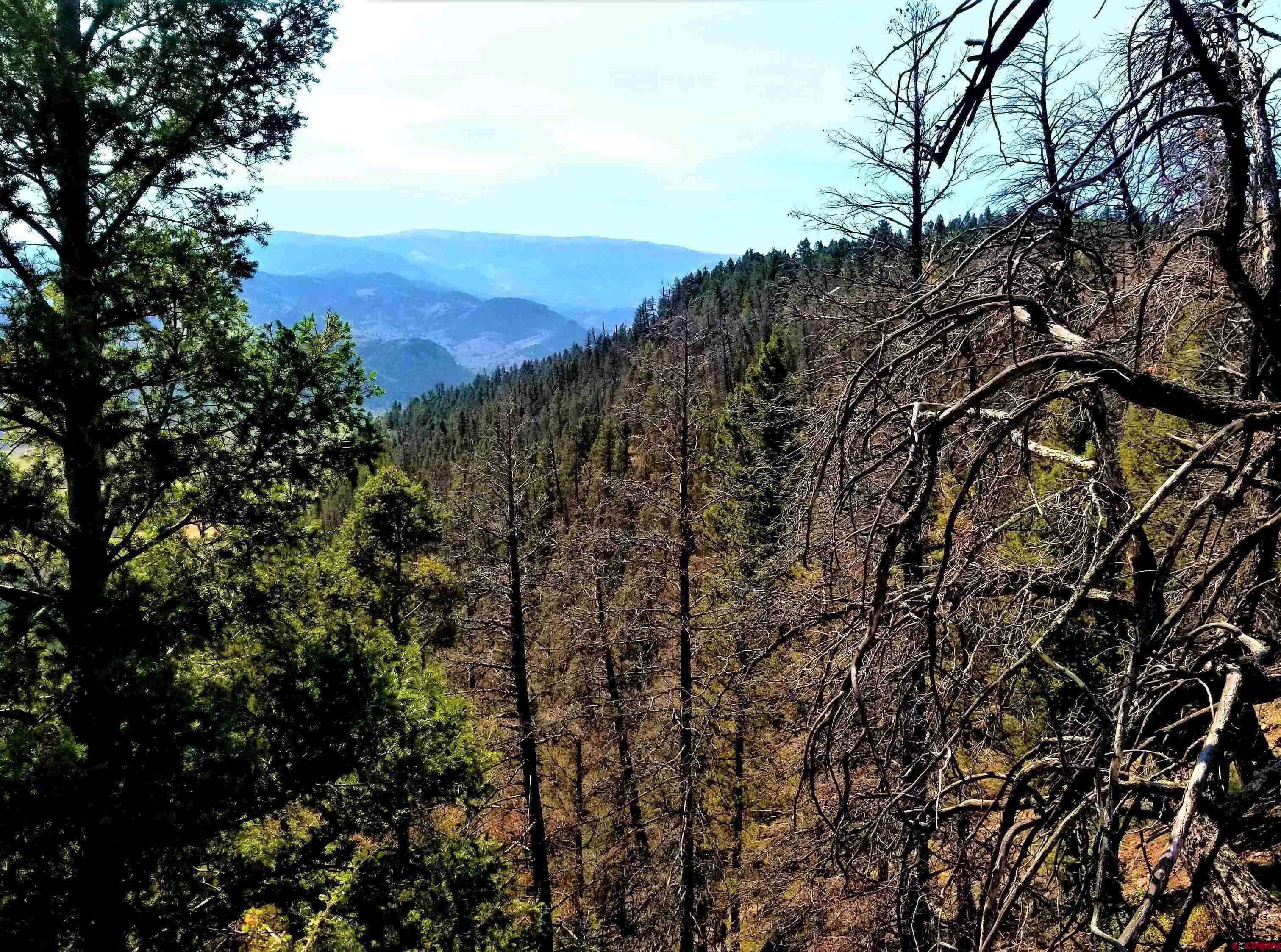 Powderhorn, CO 81243,294 Schofield Trail