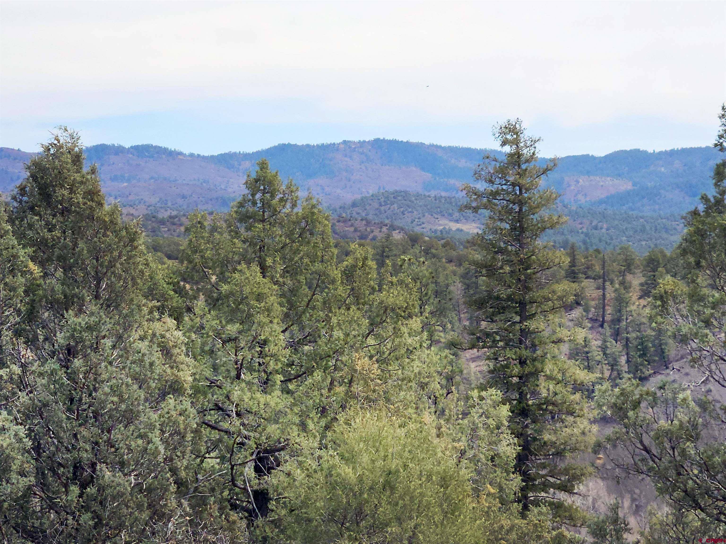 Pagosa Springs, CO 81147,206 Alcazar Place