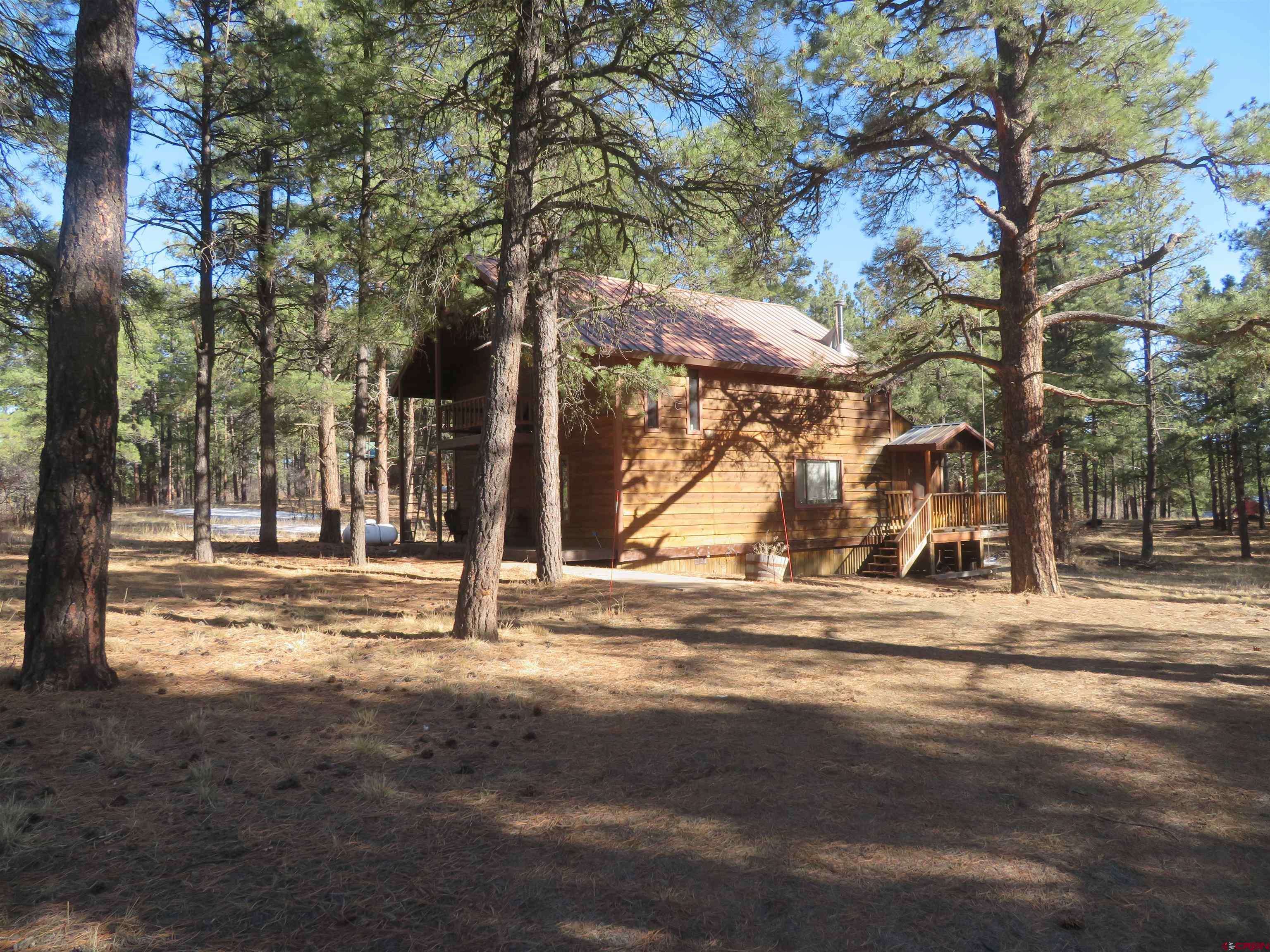 Pagosa Springs, CO 81147,1380 Shenandoah Drive