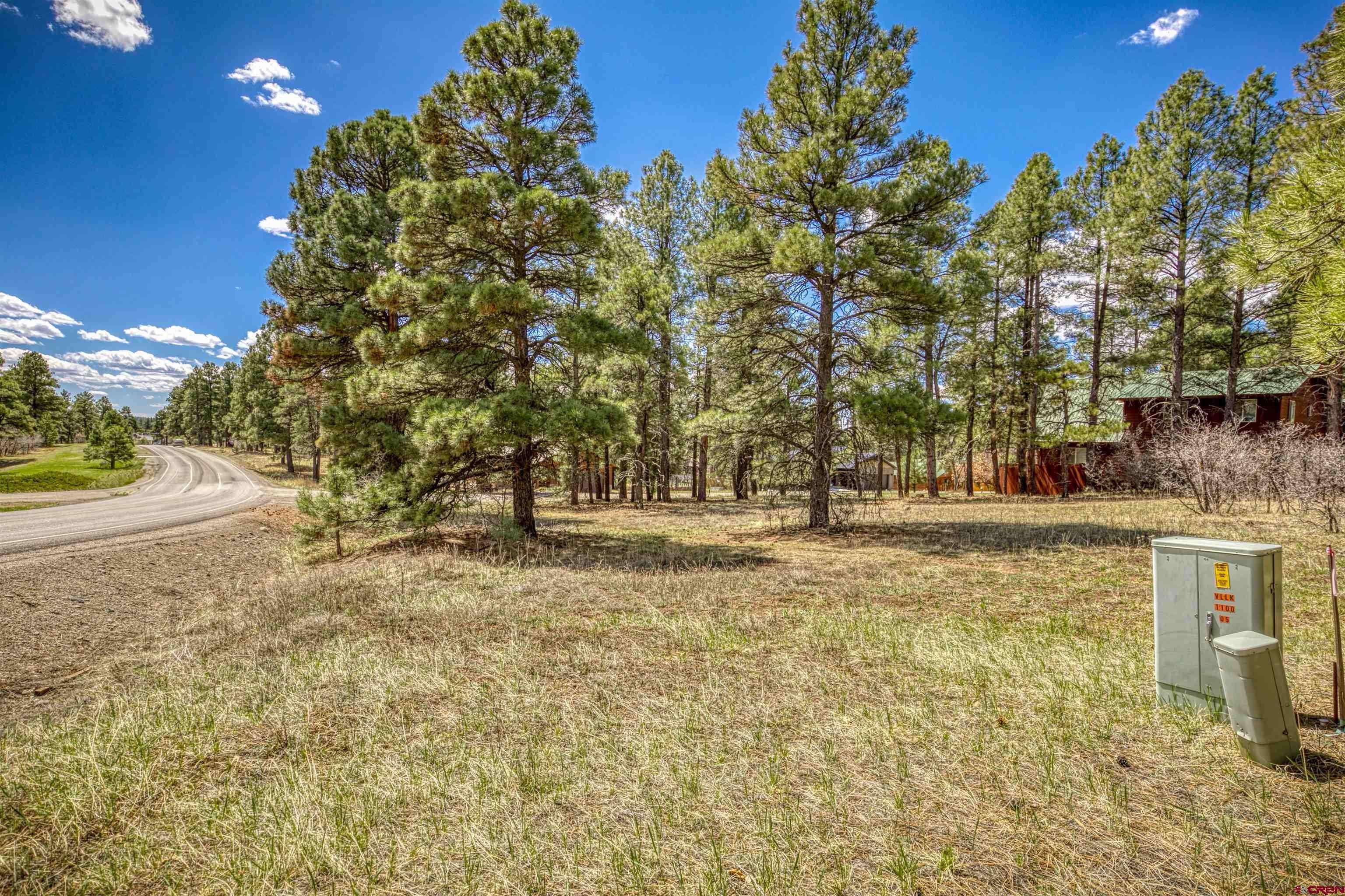 Pagosa Springs, CO 81147,824 Antelope Avenue
