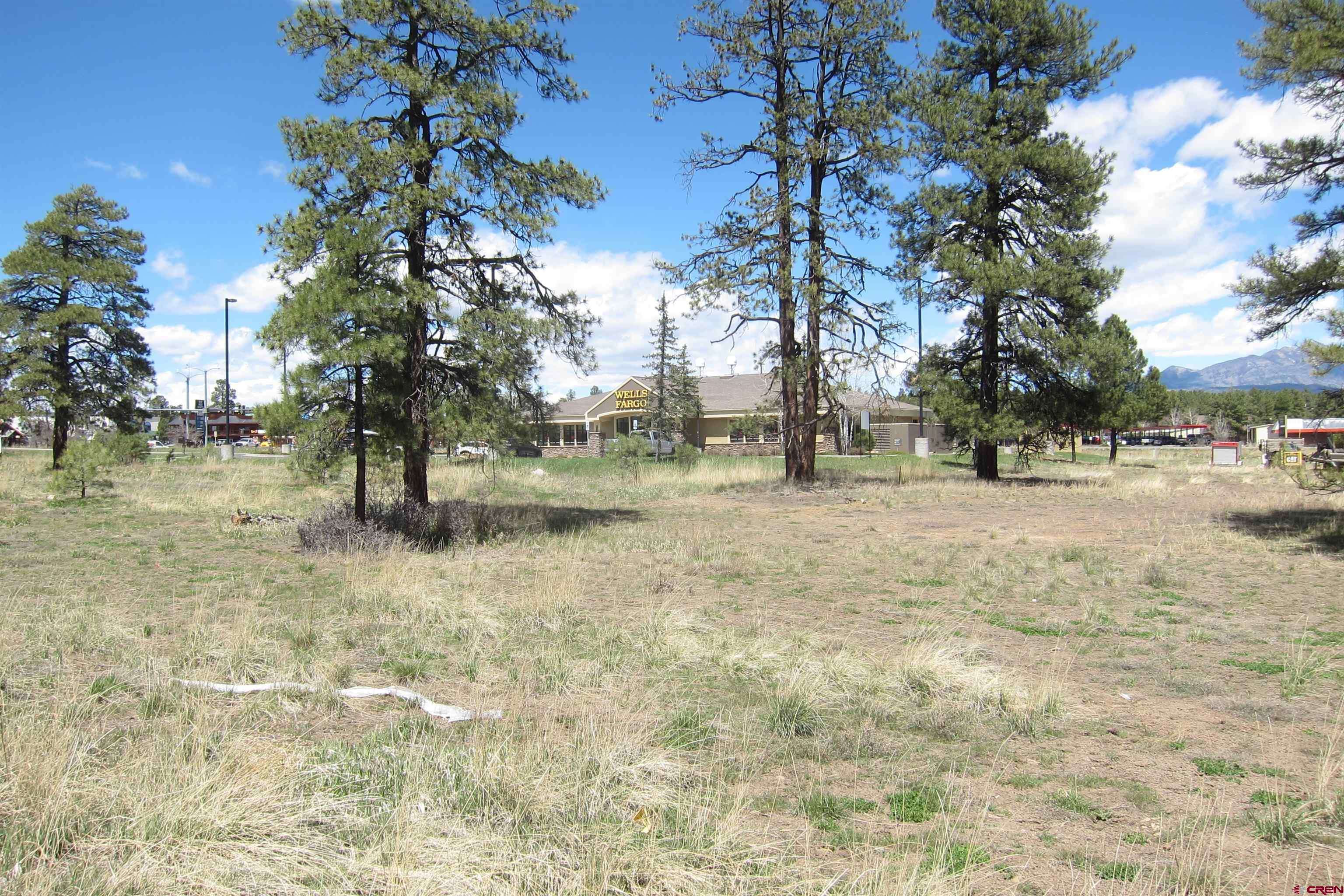 Pagosa Springs, CO 81147,26 Papoose Court