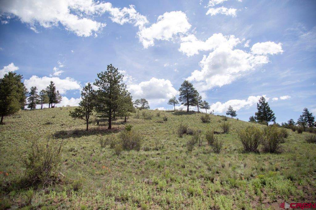 Creede, CO 81130,780 Cliff View Drive