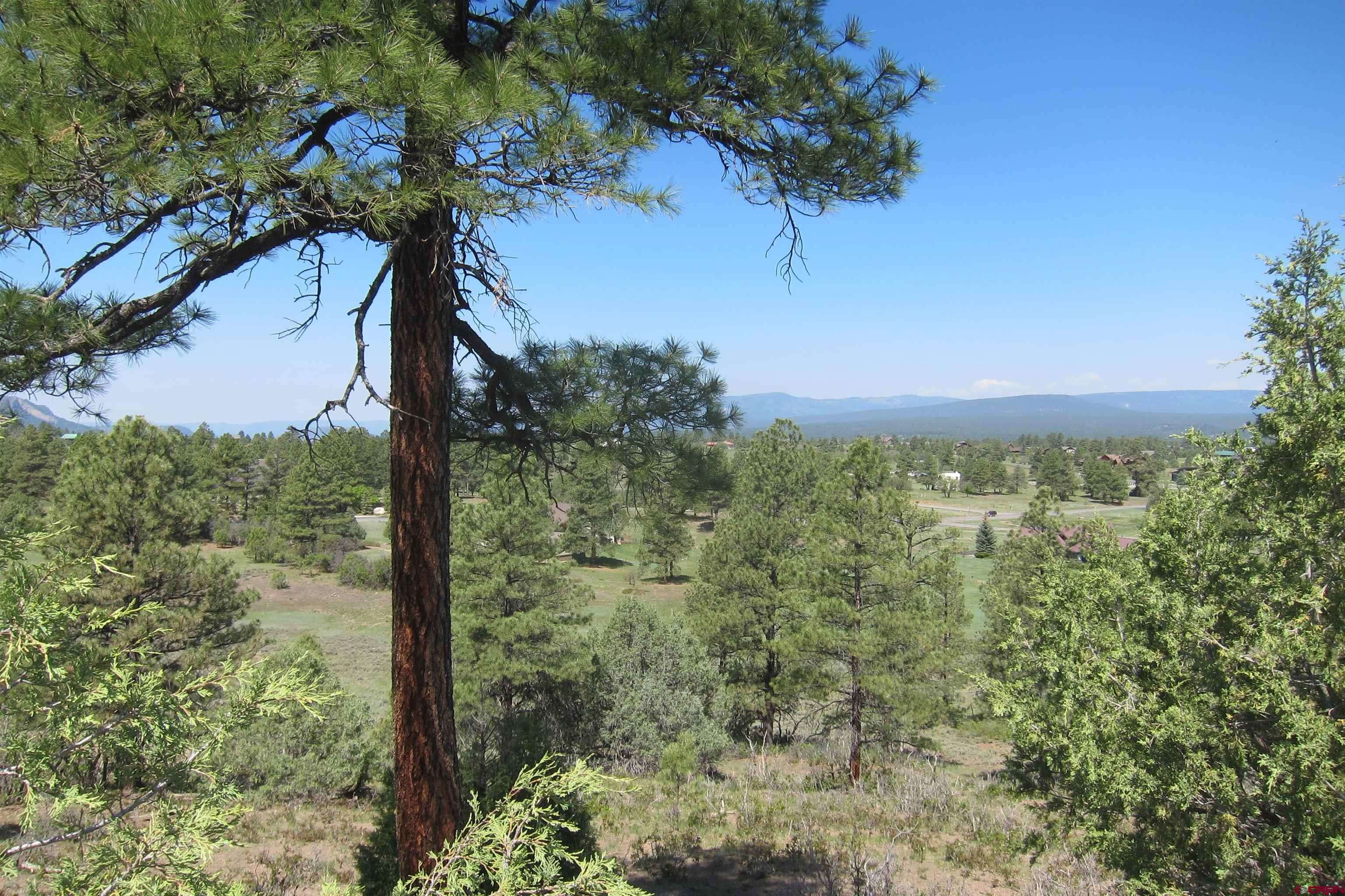Pagosa Springs, CO 81147,295 Sage Circle