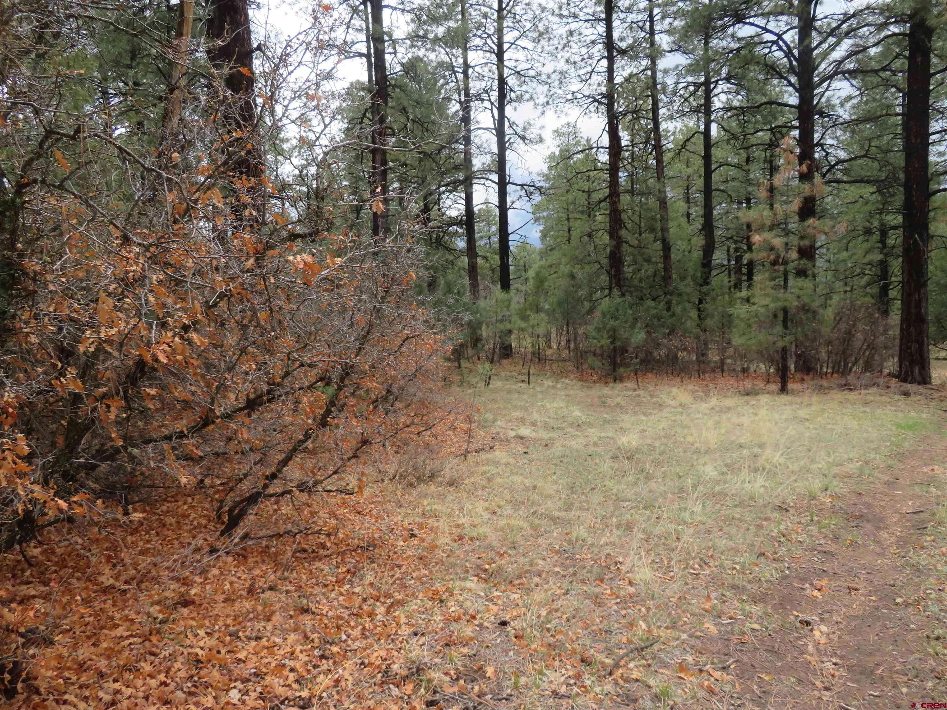 Pagosa Springs, CO 81147,90 Harry's Court