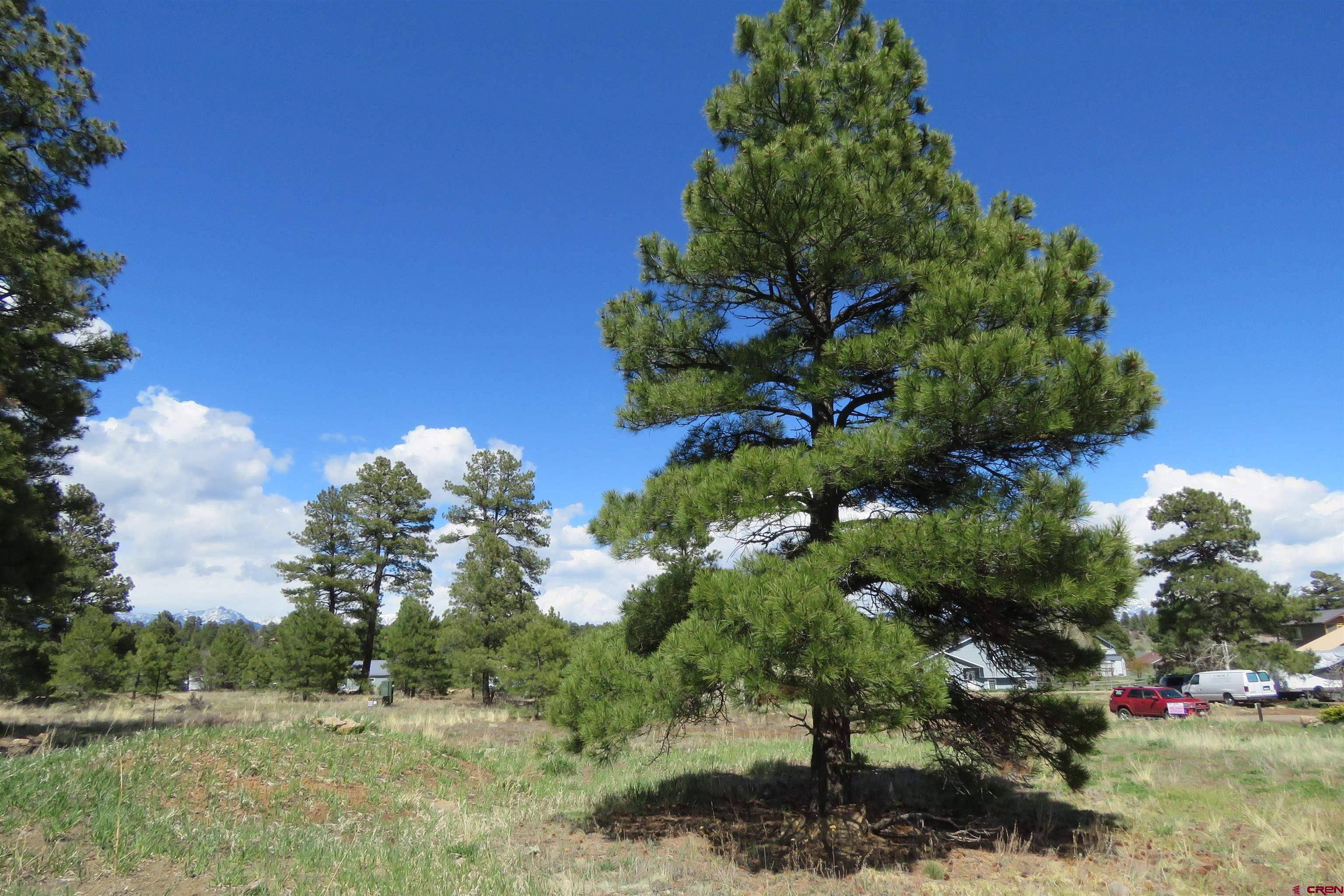 Pagosa Springs, CO 81147,31 Pioneer Court