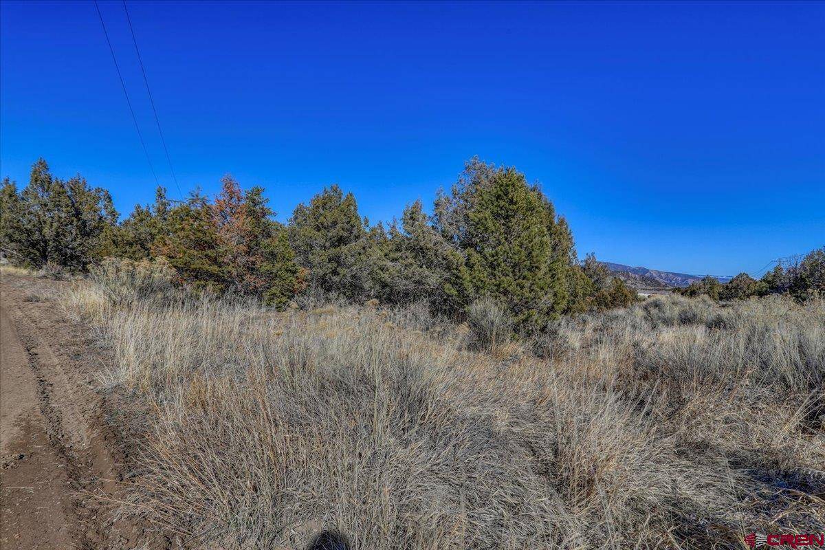 Arboles, CO 81121,X Pine
