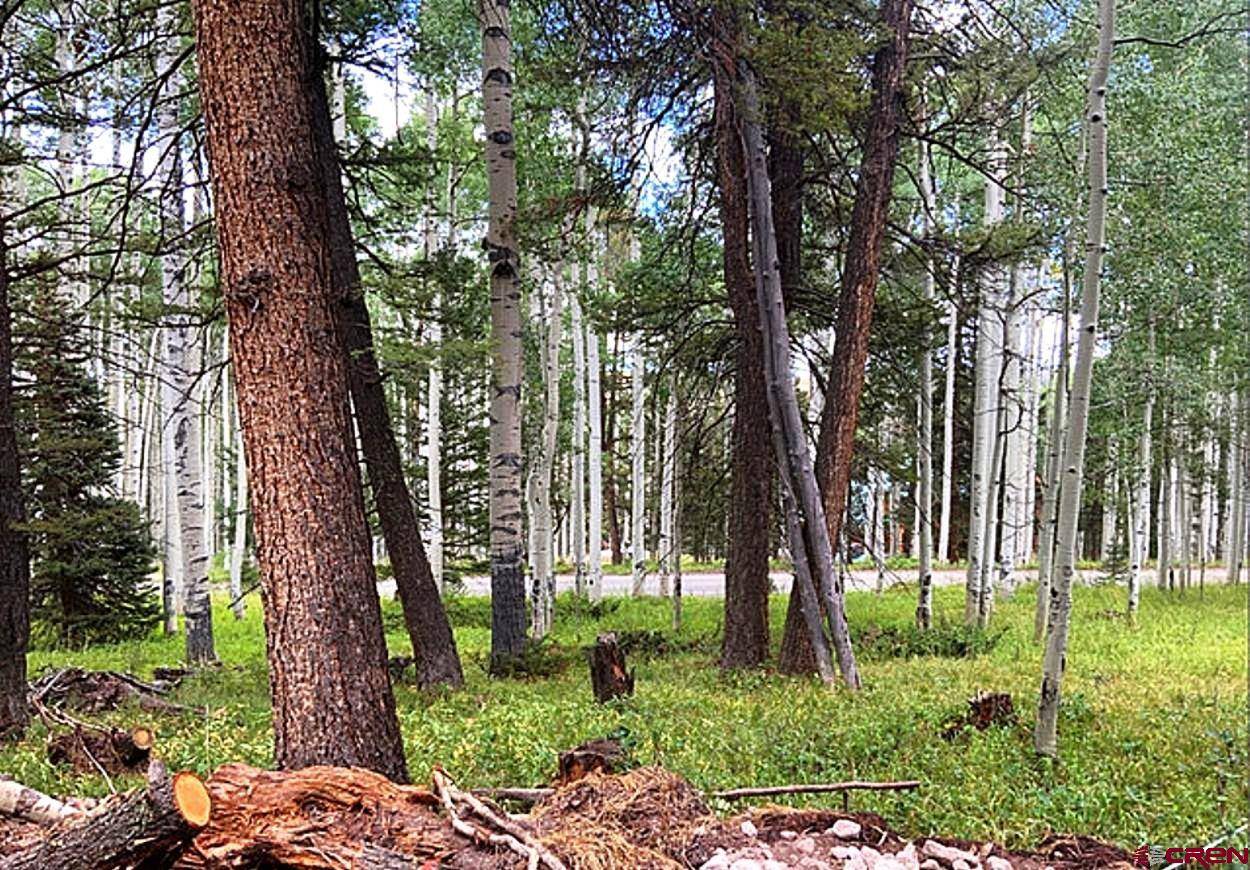 Cimarron, CO 81220,591 Crest Drive