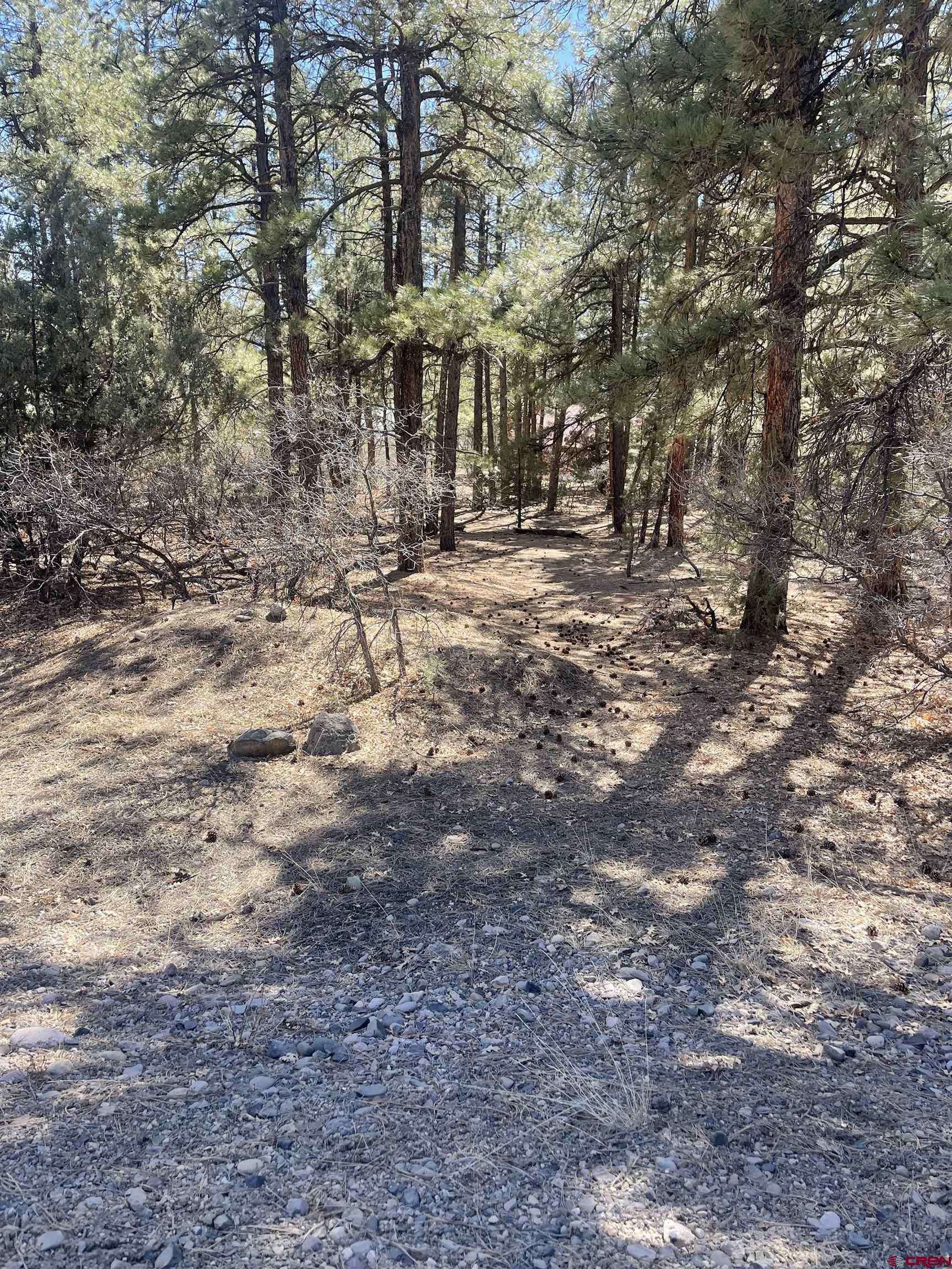 Pagosa Springs, CO 81147,123 Granada Drive