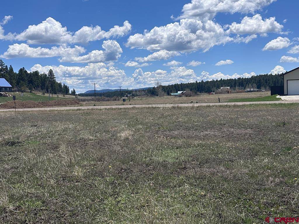 Pagosa Springs, CO 81147,59 Saddle Circle