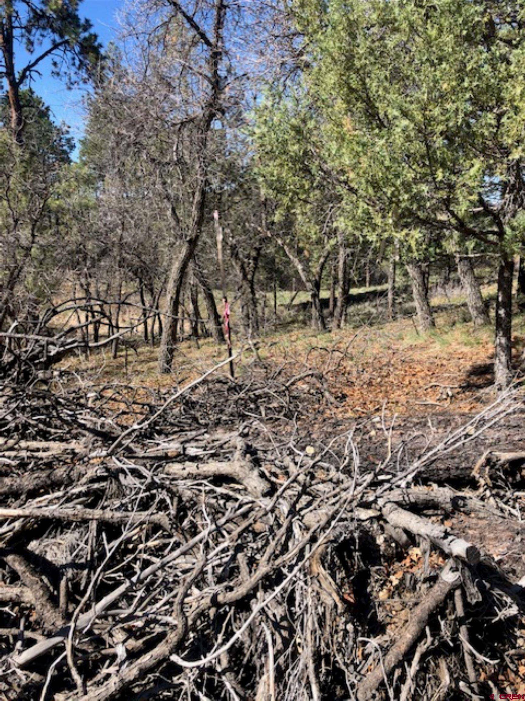 Pagosa Springs, CO 81147,90 George's Court