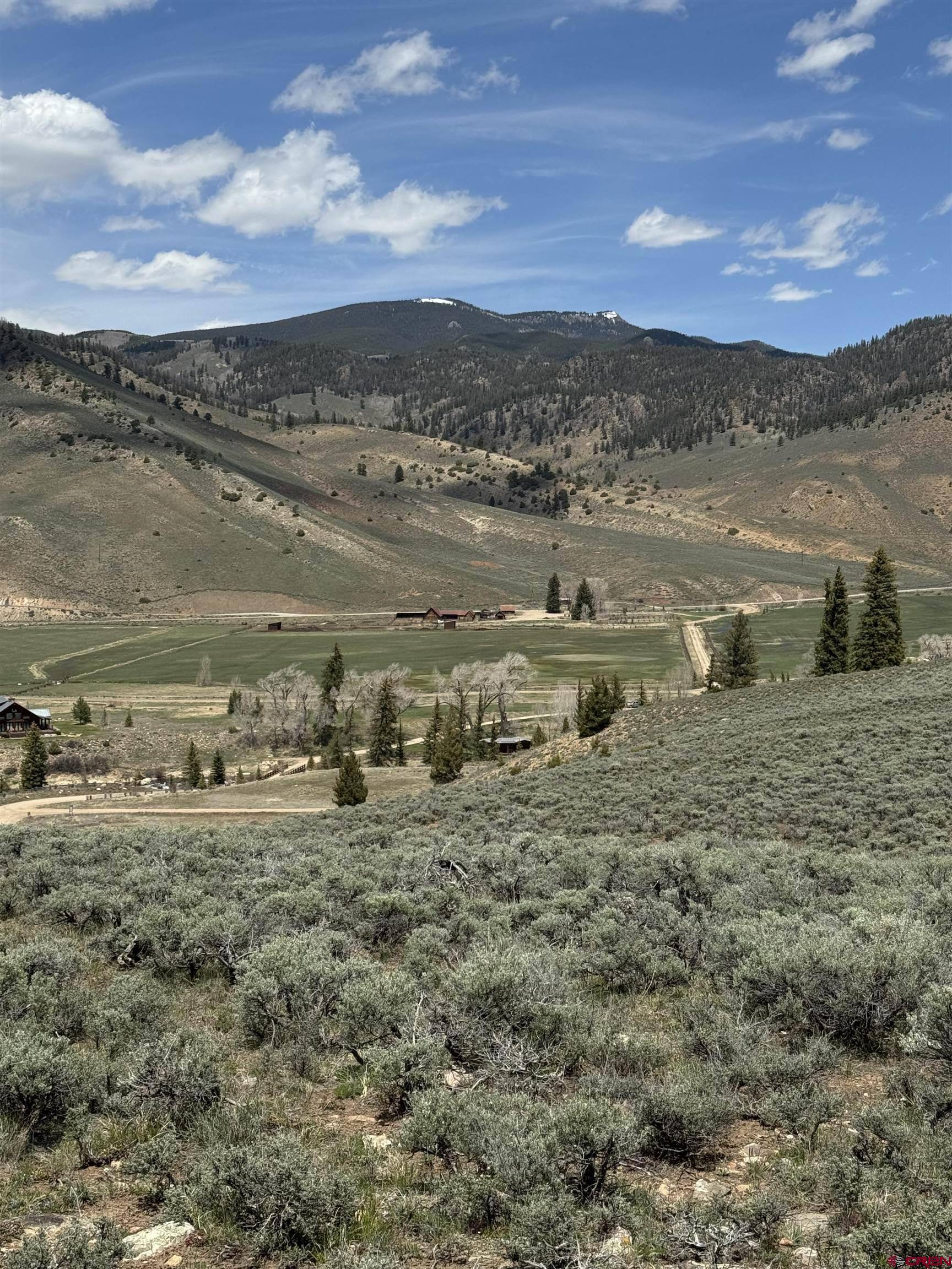 Almont, CO 81210,301 Wilder Mountain Road