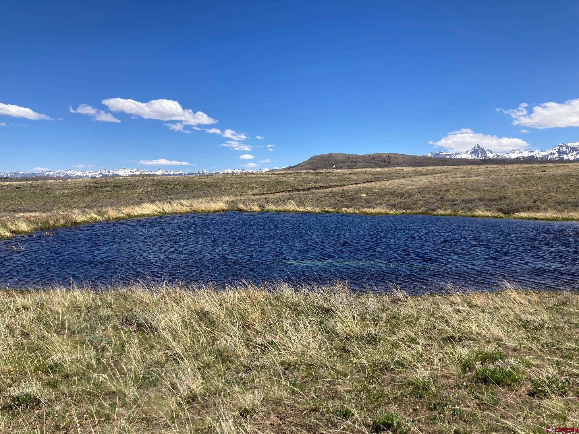 Placerville, CO 81430,Lot 13 62X Road