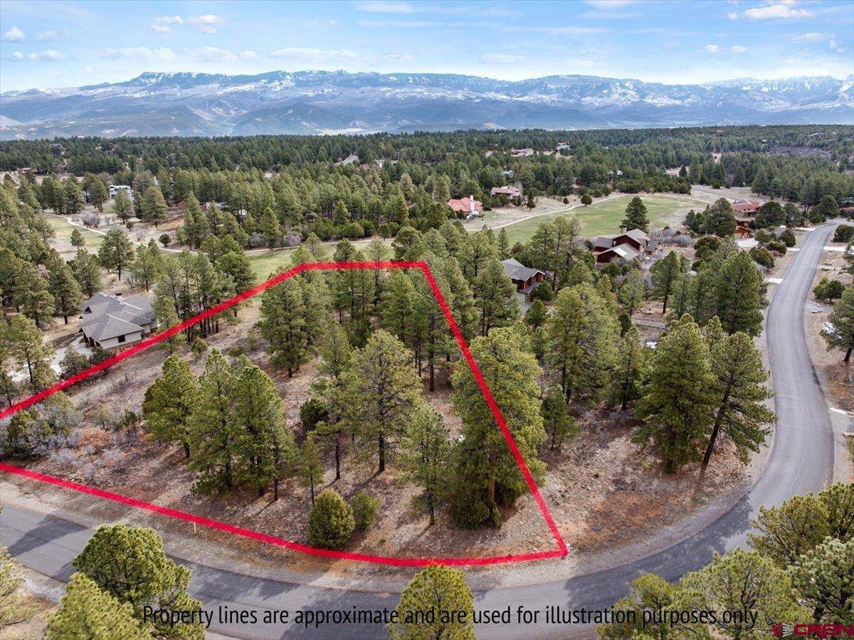 Ridgway, CO 81432,TBD Lot 439 S Badger Trail