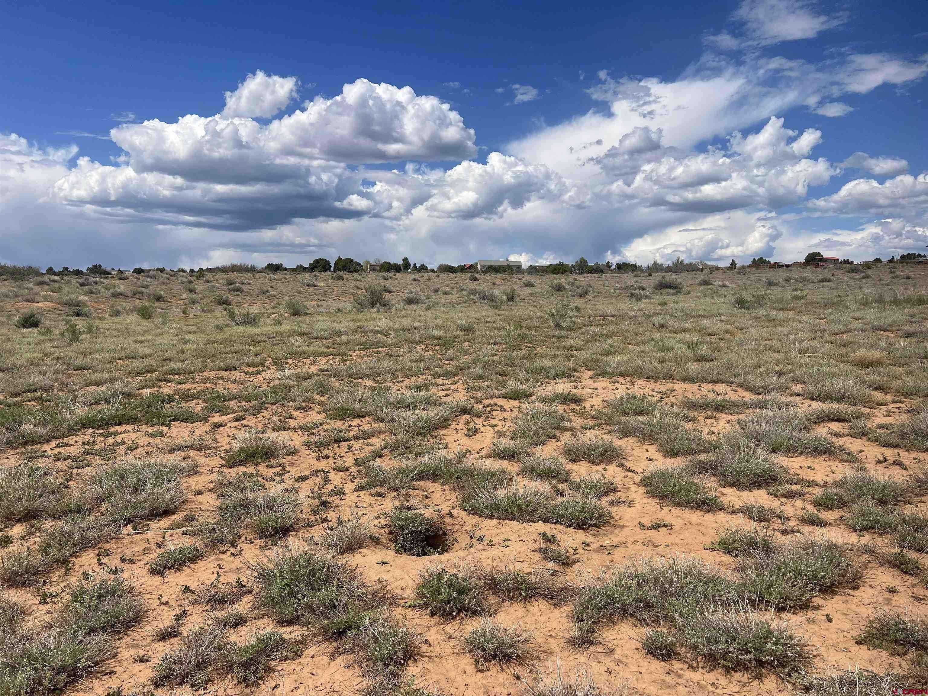 Dolores, CO 81323,18523 Road 26