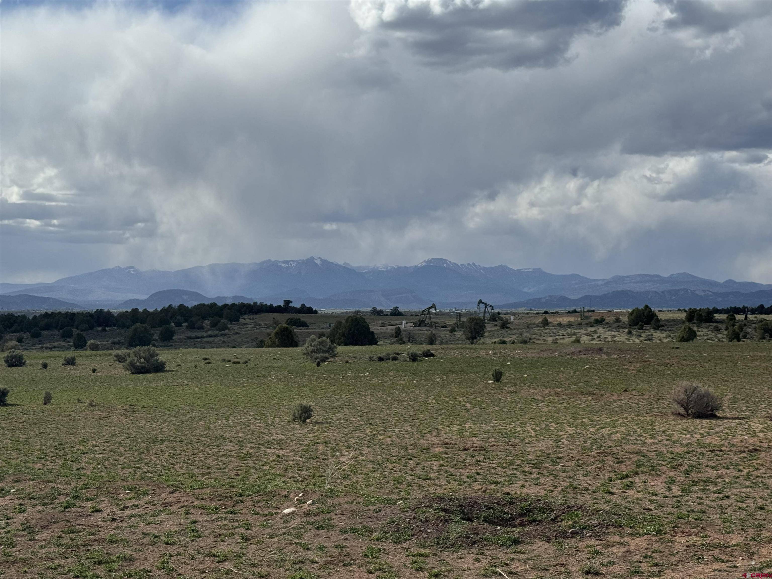 Ignacio, CO 81137,12945 CR-310