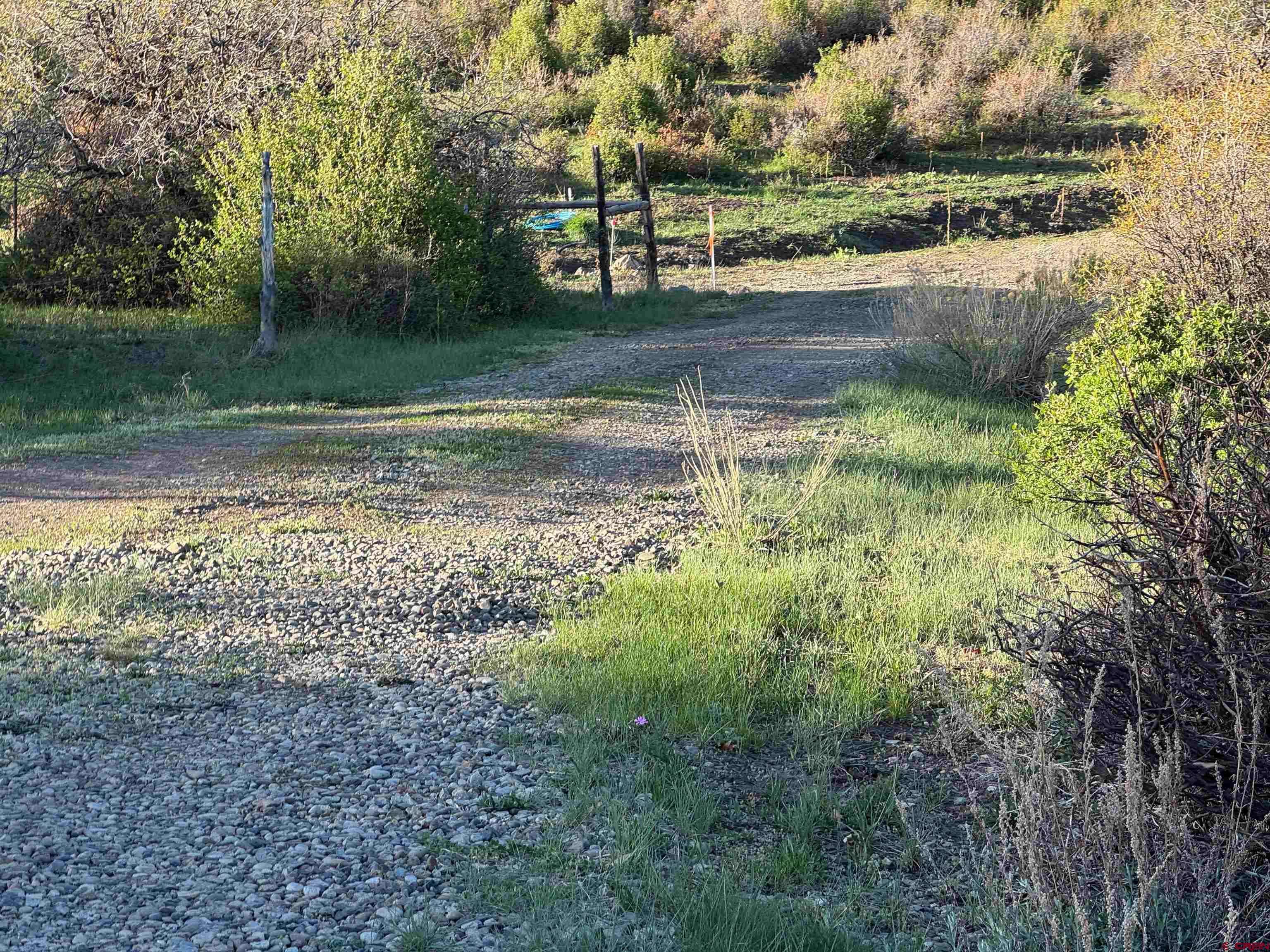 Crawford, CO 81415,TBD Deadwood Trail