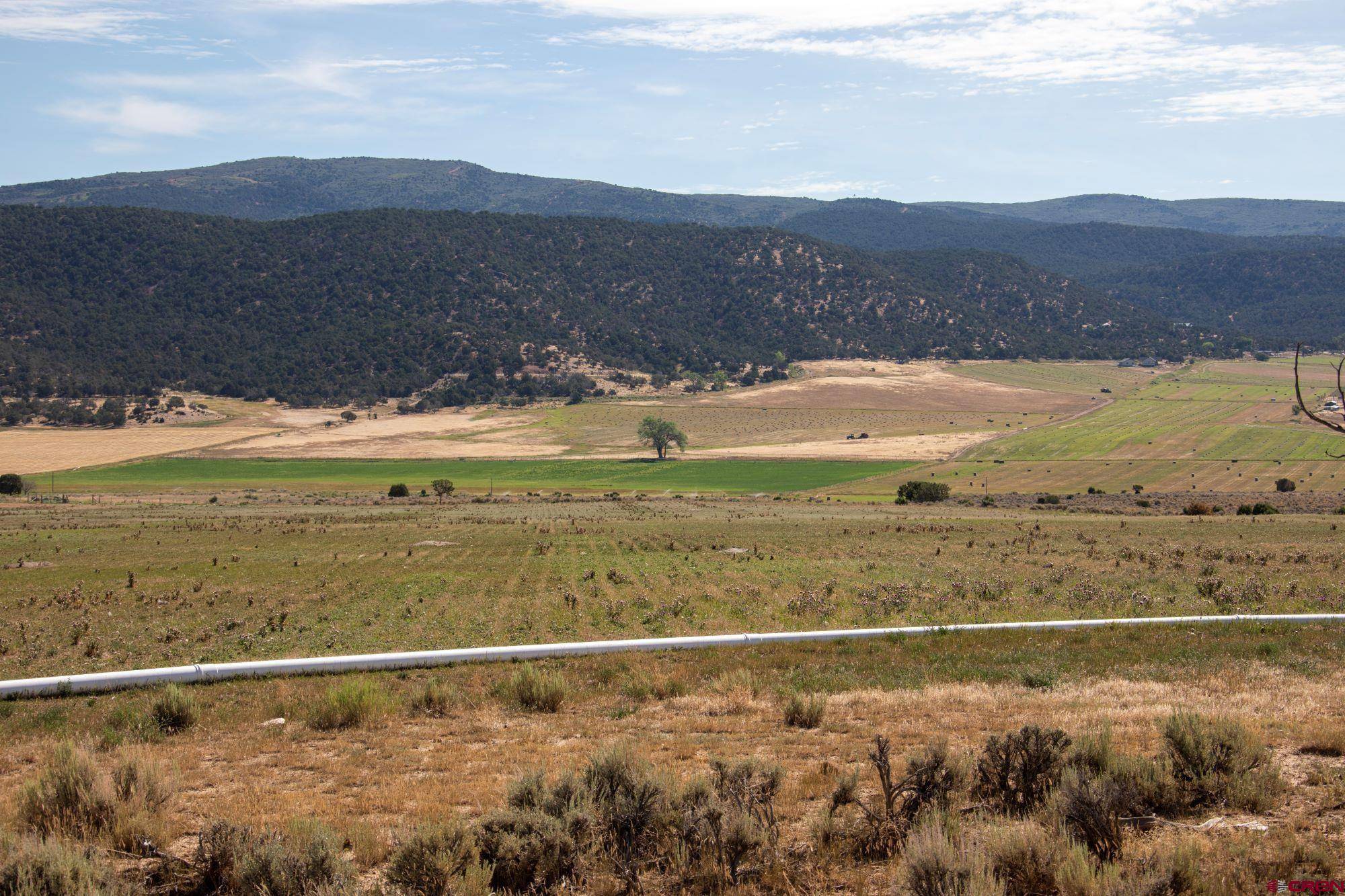 Montrose, CO 81403,TBD Tract 14 Bostwick Park rd
