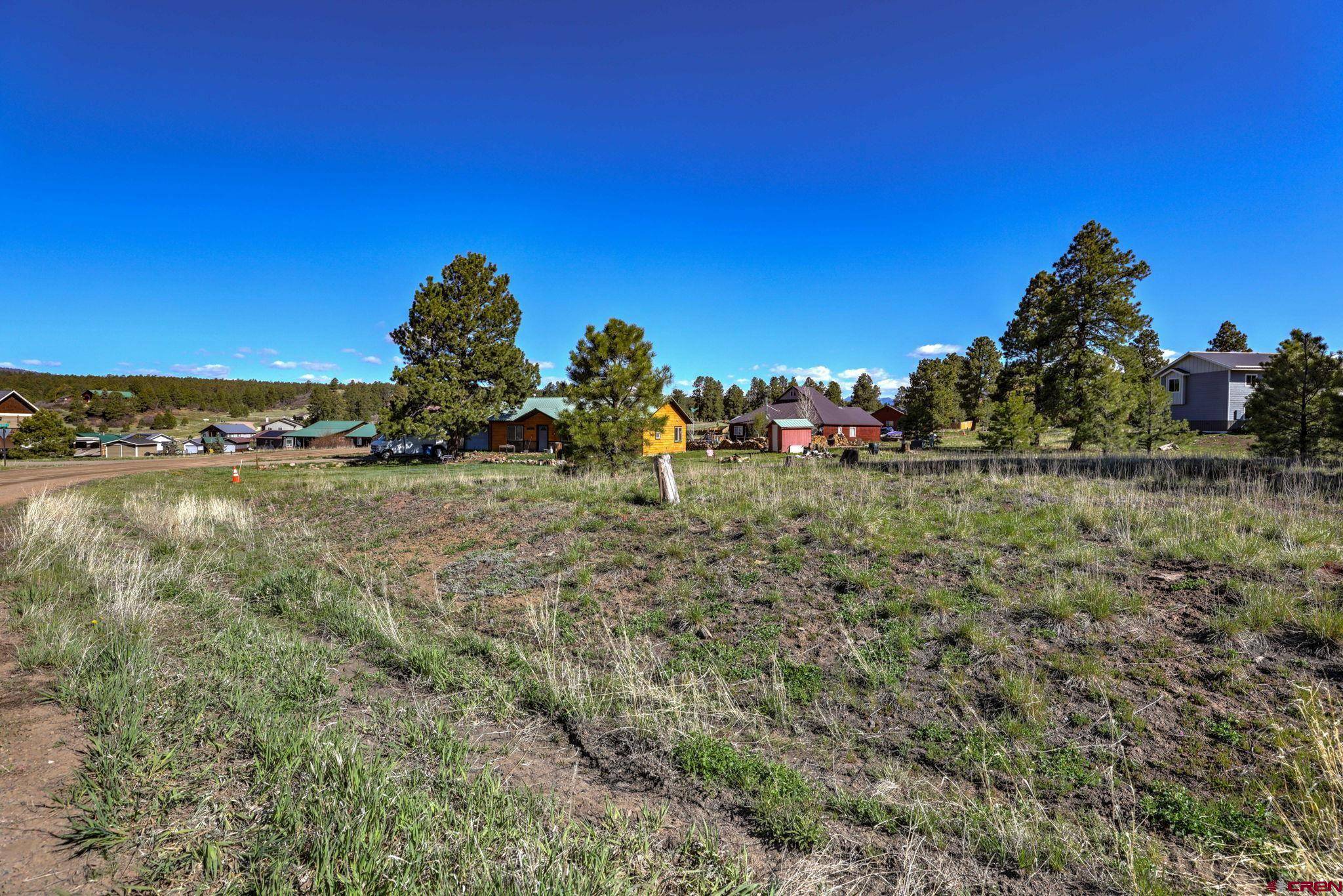 Pagosa Springs, CO 81147,317 Morro Circle
