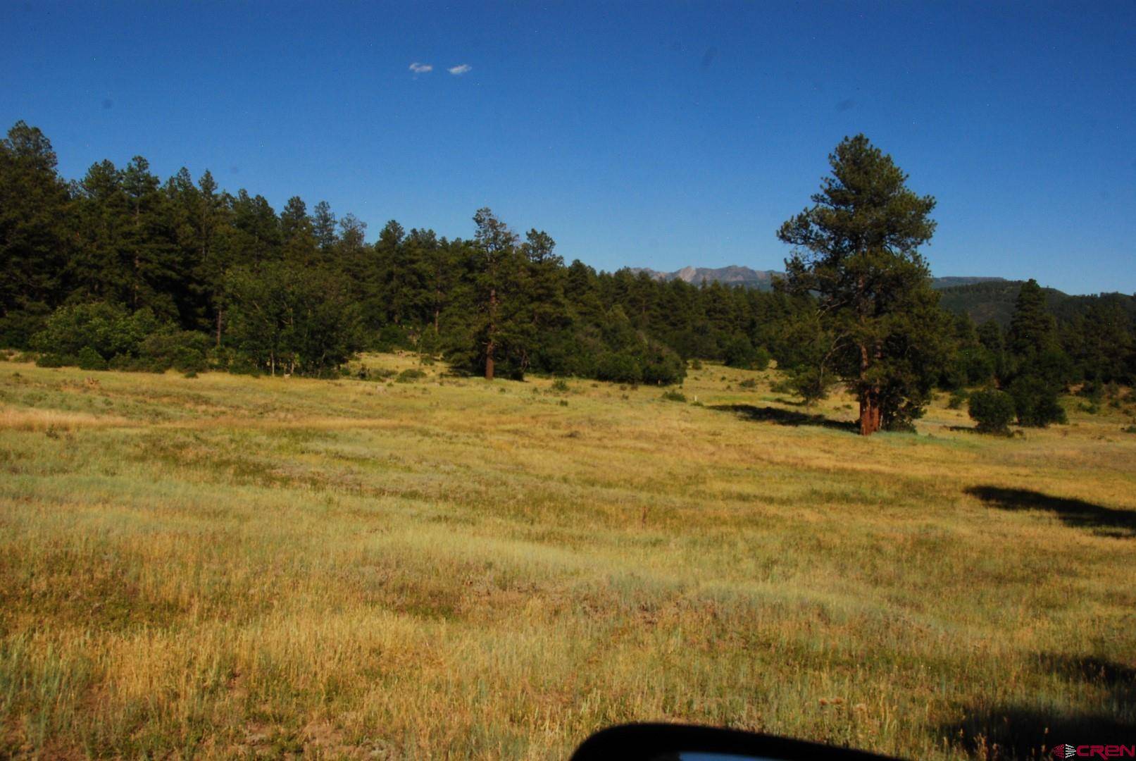 Pagosa Springs, CO 81147,X US Hwy 84 #115