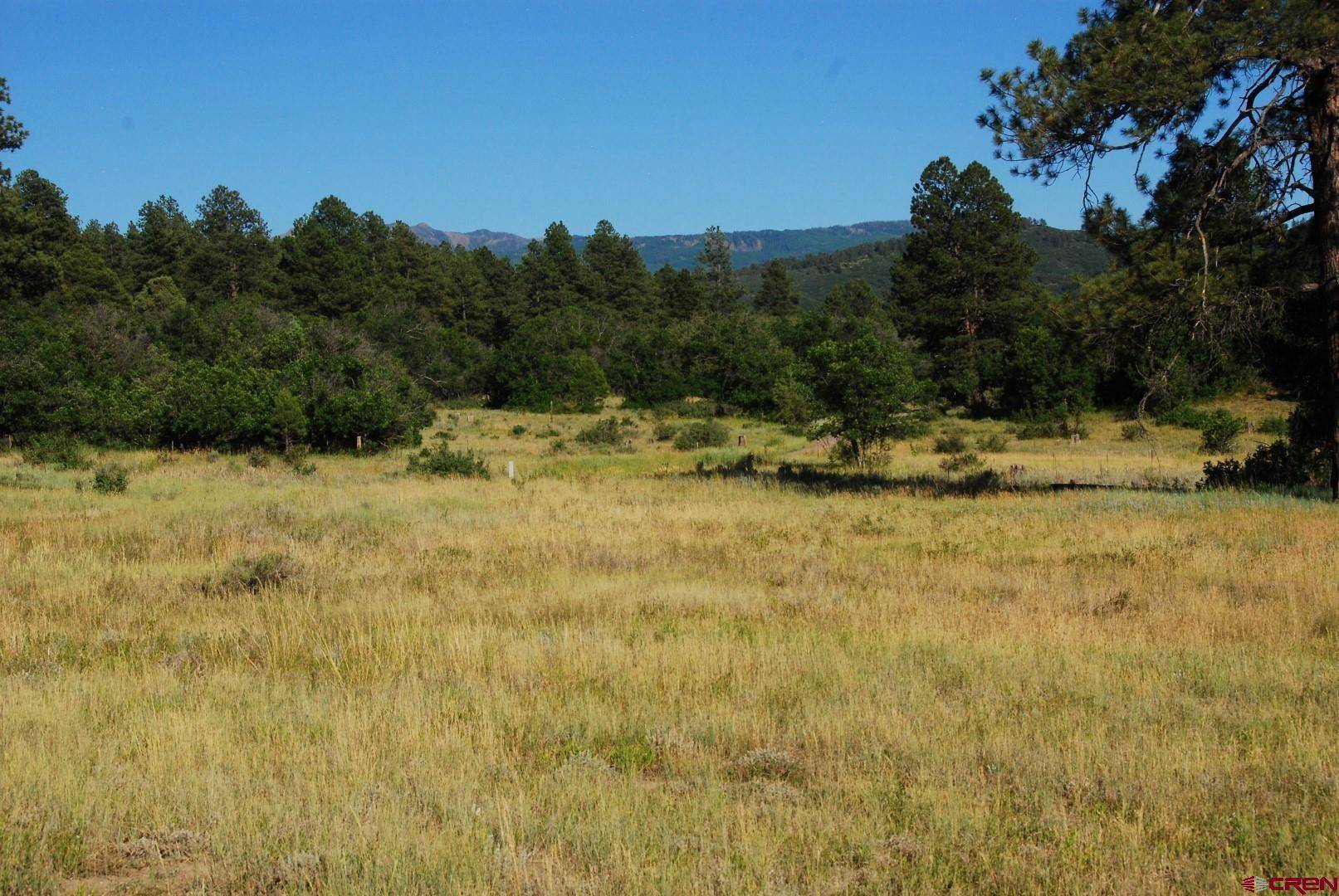 Pagosa Springs, CO 81147,X US Hwy 84 #115