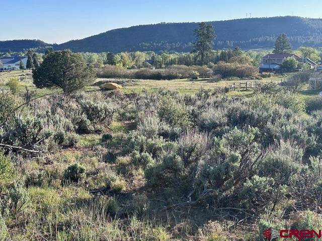 Bayfield, CO 81122,Lot 16 Primrose Lane
