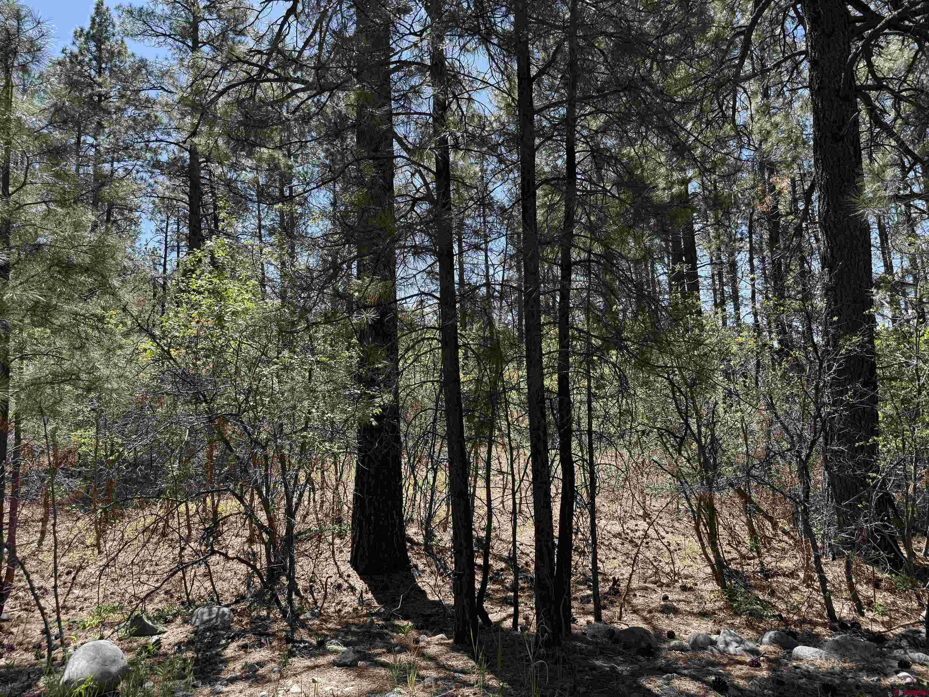 Bayfield, CO 81122,156 Lake View Circle