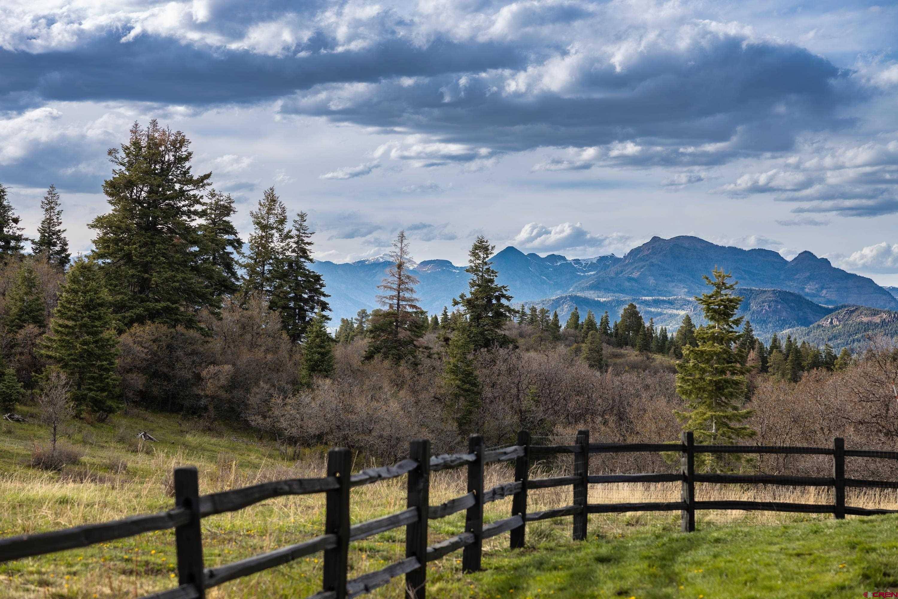 Pagosa Springs, CO 81147,1385 Collyer Drive