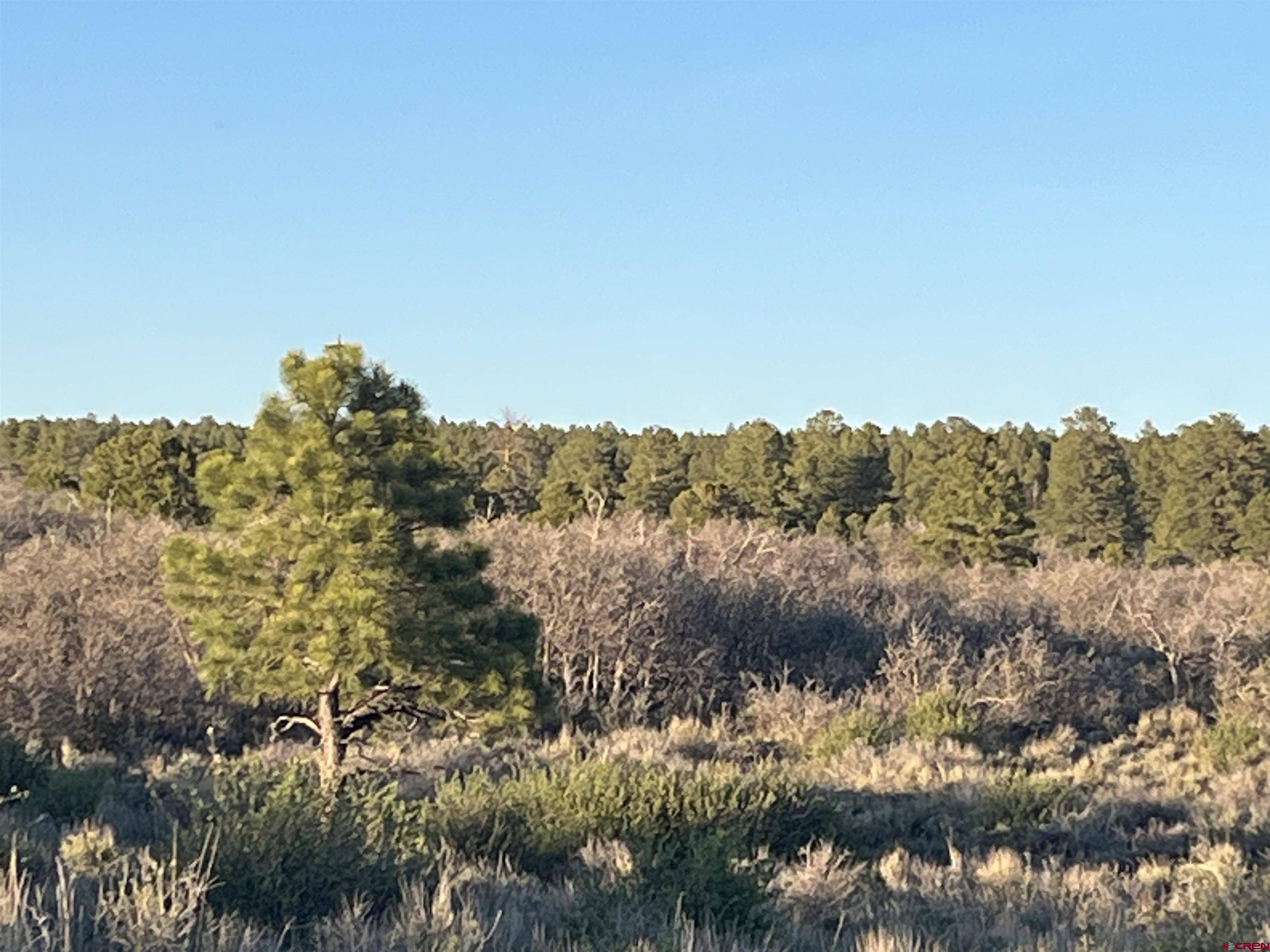 Dove Creek, CO 81324,3537 Road 10.8