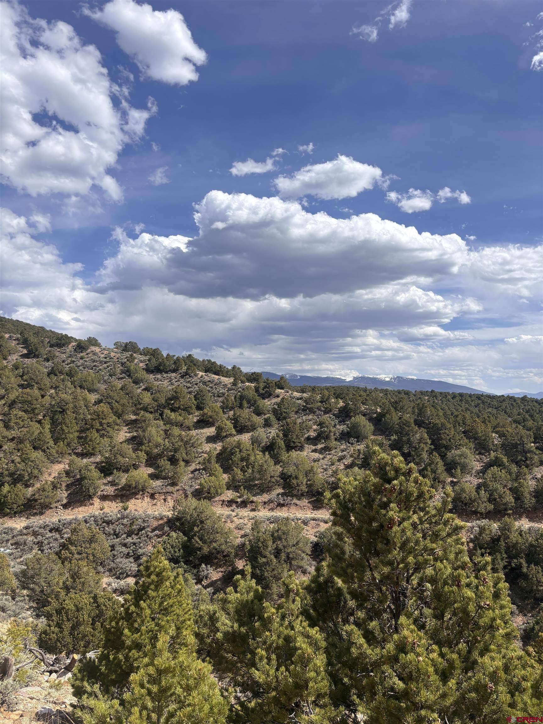 San Luis, CO 81152,000 EWING RANCH SOUTH LOT 49 Mountain