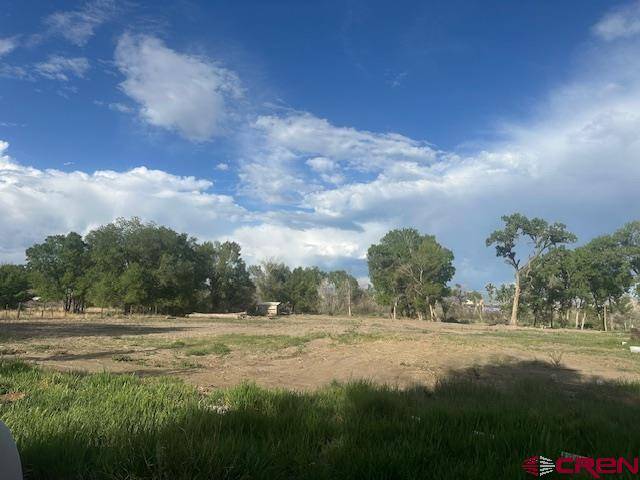 Montrose, CO 81403,14470 Arabian  Lot 2 Court