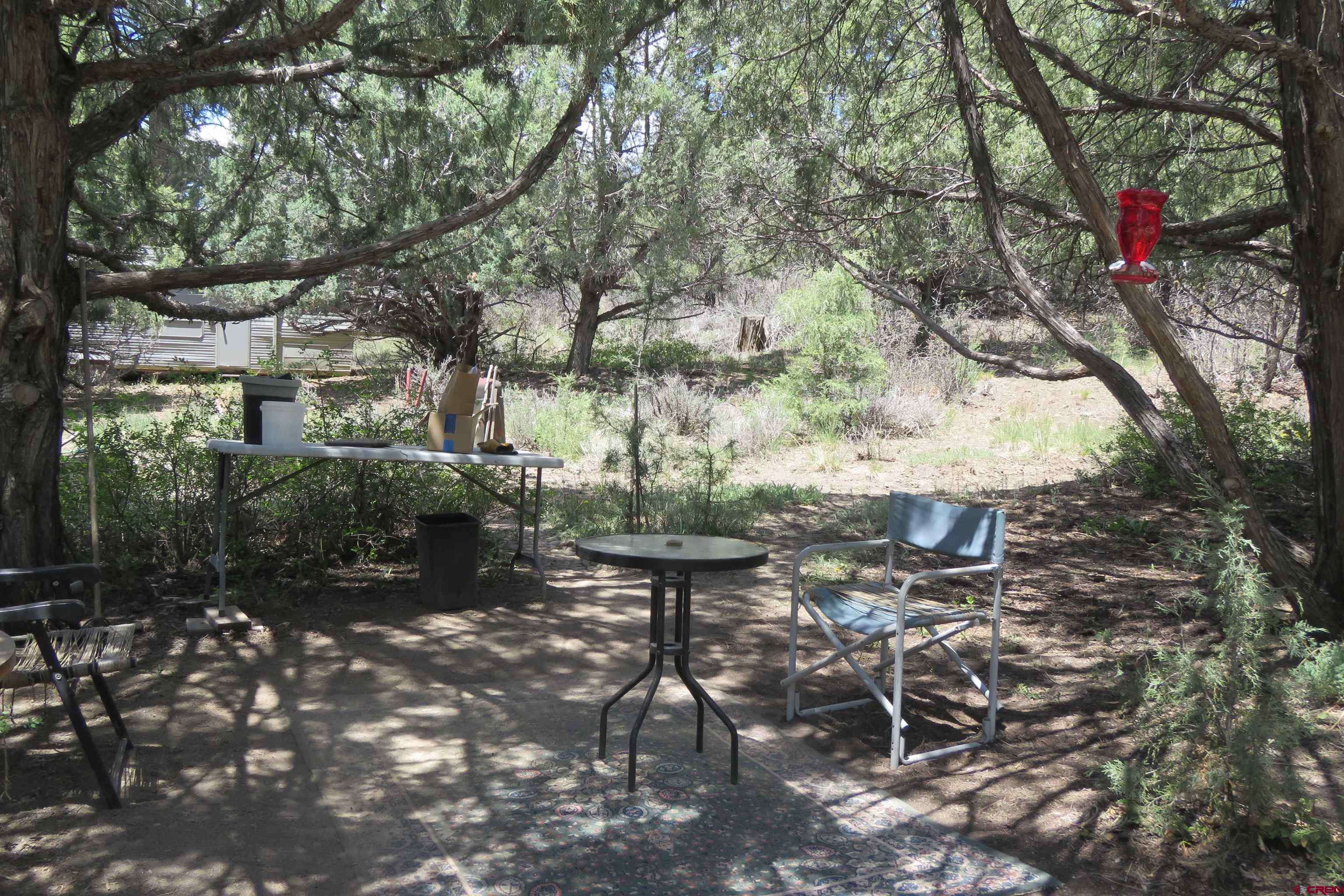 Pagosa Springs, CO 81147,153 Blue Jay Drive