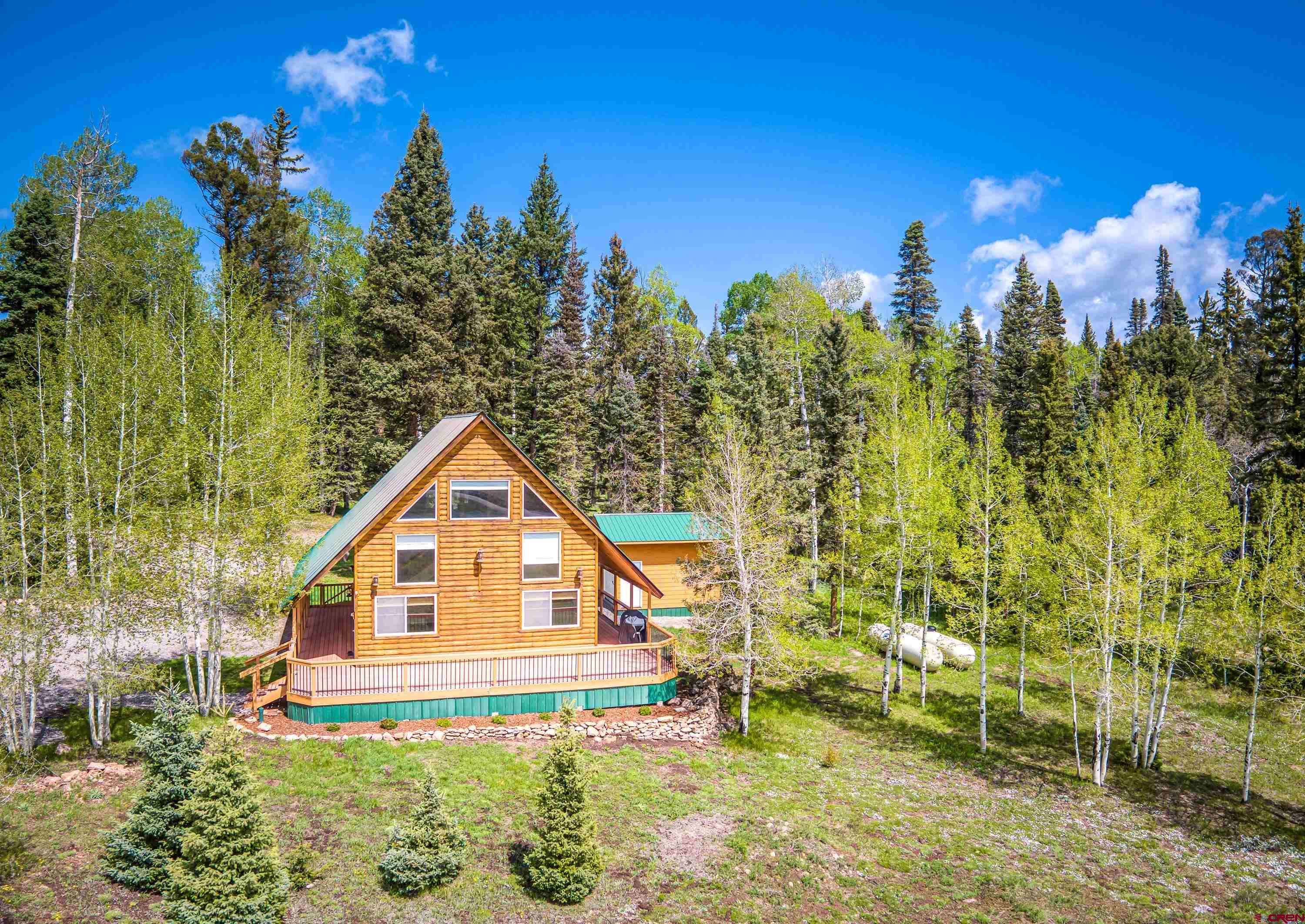 Cimarron, CO 81220,230 Timber Drive
